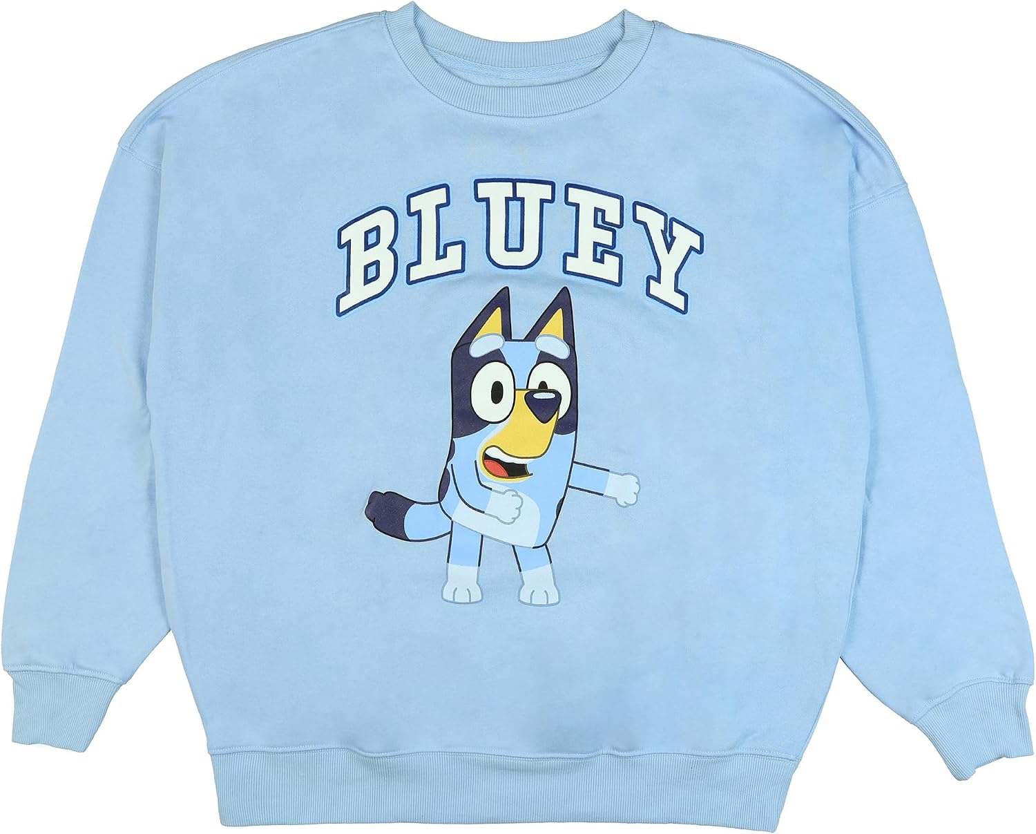 Seven Times Six Bluey Men's Block Logo Design Adult Crewneck Pullover Long Sleeve Sweatshirt