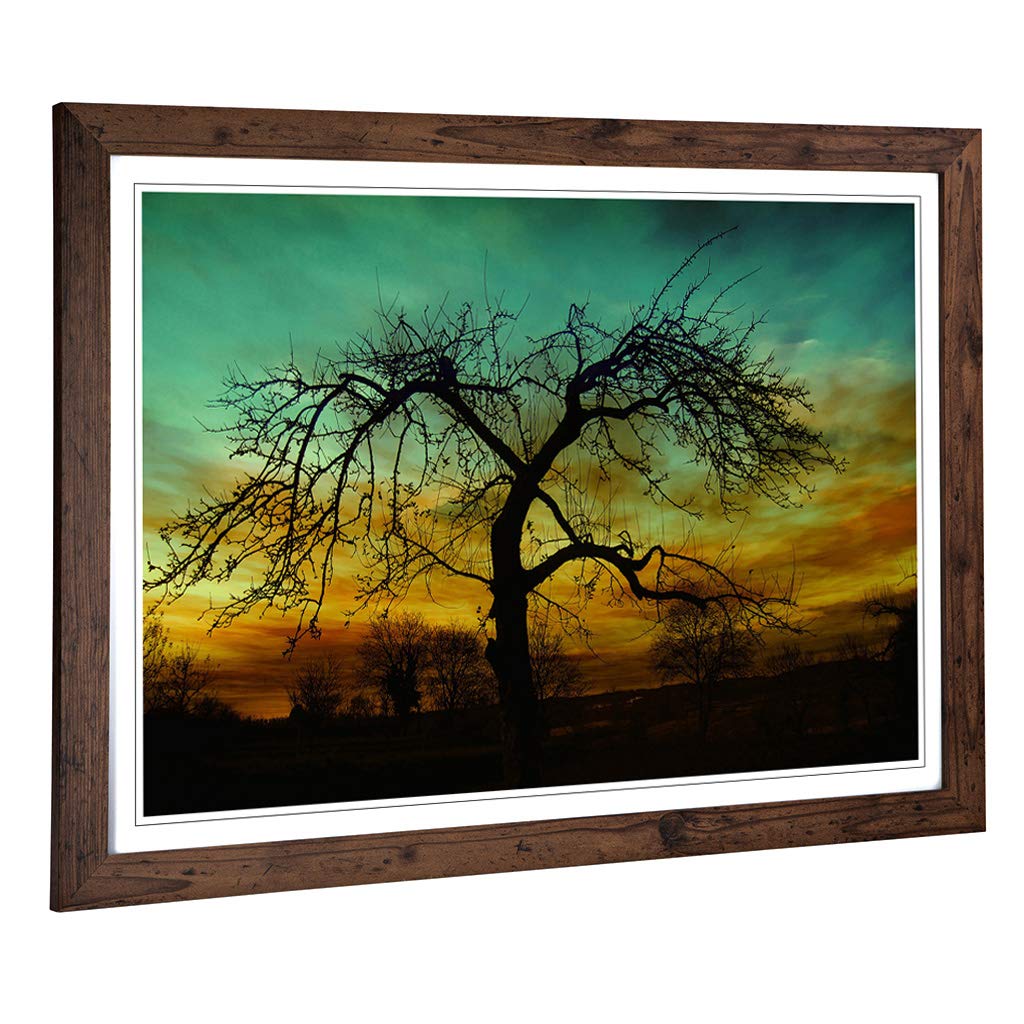 Big Box Art Framed Print of Landscape Lone Tree Setting Sun Design | Wall Art Picture | Home Decor for Kitchen, Living Room, Bedroom, Hallway, Walnut, A2 / 24.5x18 Inch / 62x45cm