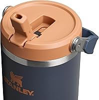 Vista 121 de Stanley - Vaso con popote plegable IceFlow con asa de 30 onzas Tapa de giro y popote abatible Botella de agua resistente a fugas Acero