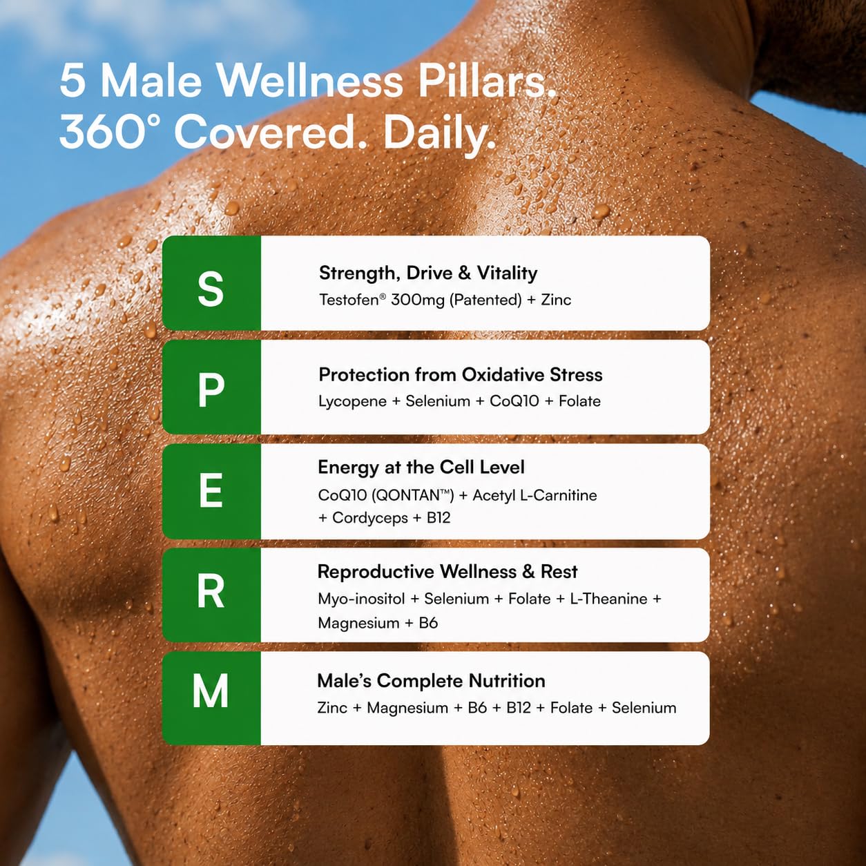 Daily Boost™ in you | 360° Men's Wellness Nutrition | Patented Testofen® + CoQ10 (QONTAN™) + Cordyceps + L-Theanine | Supports Testosterone, Fertility, Sperm Health, Energy, Longevity, Stress & Sleep 1