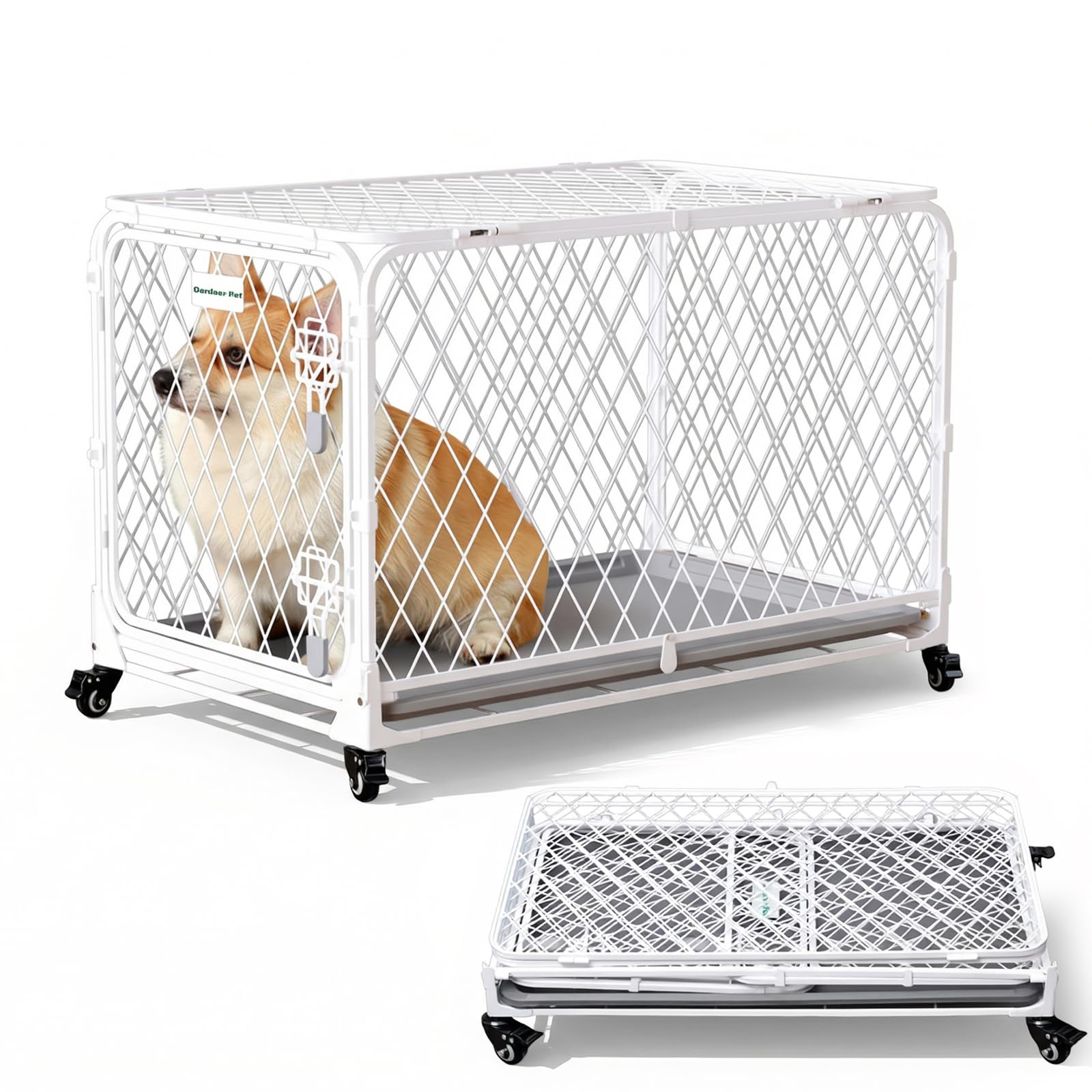 Gardner Pet Hundekäfig faltbar, Transportbox Drahtkäfig, 76x48x49 cm | Diamantgitter, Montagefrei, 4 Rollen, Ausziehbare Schale, Für kleine/mittelgroße Hunde