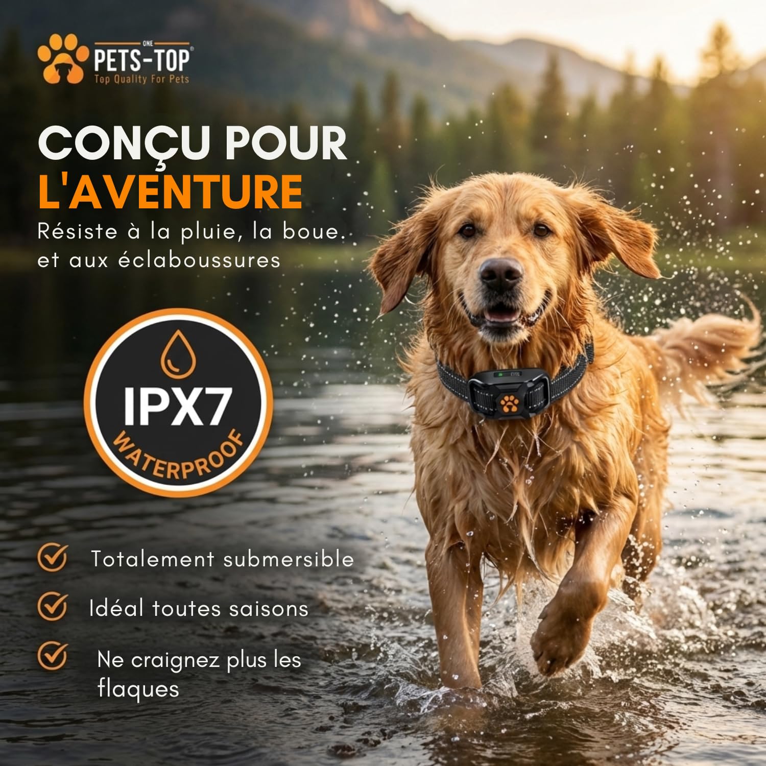 One PETS-TOP Collier de Dressage Chien – Collier Anti Fugue Étanche IPX7 avec Télécommande – 3 Modes : Bip, Vibration, Stimulation Electrostatique – pour Chiens de Toutes Tailles (Pack 1 Chien)