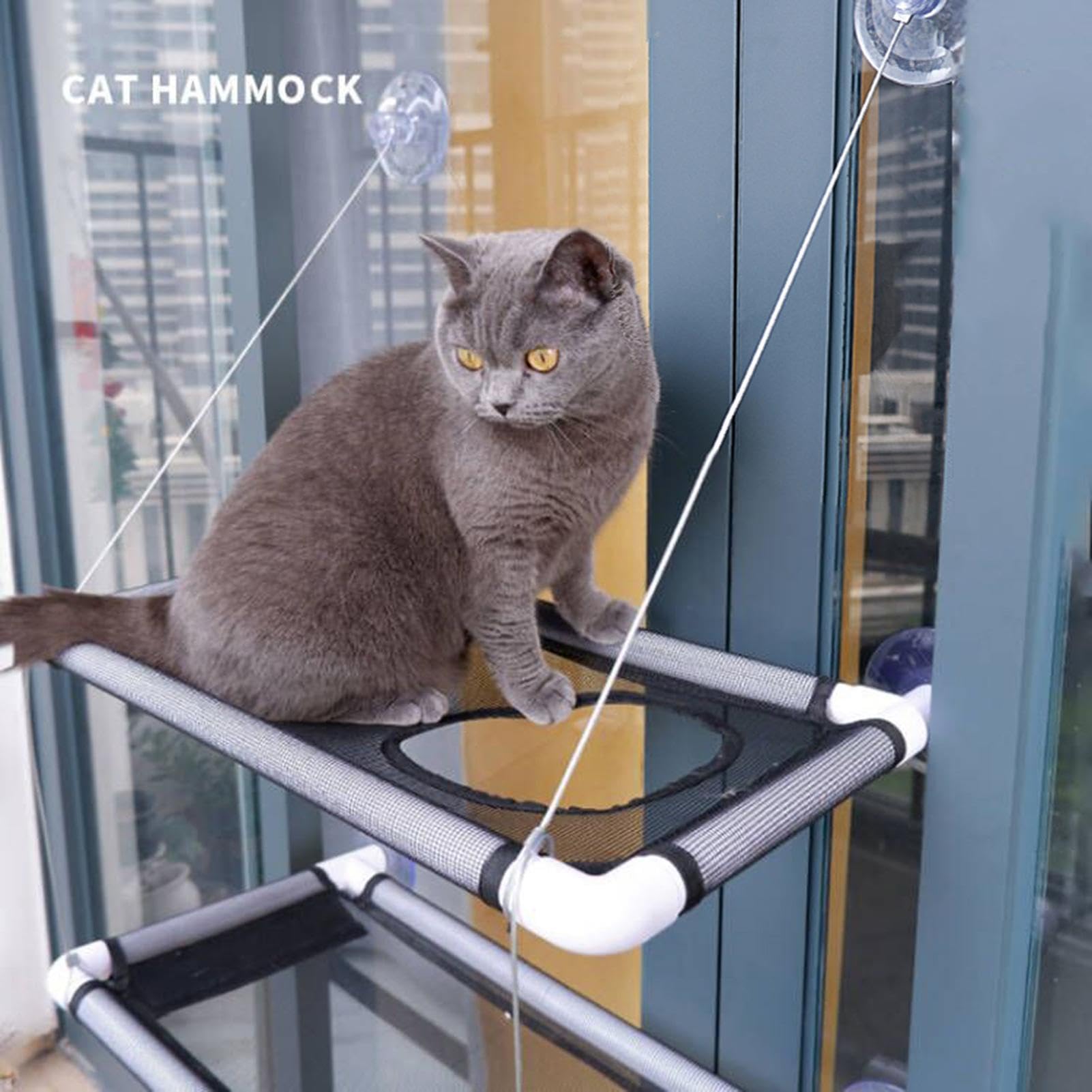 Katzen Fensterbett Saugnapf