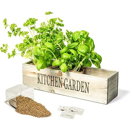 Kitchen Herb Garden Kit Windowsill Window Box Planter with Seeds
