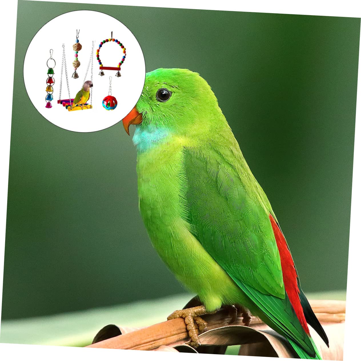 DOITOOL Jouet à Mâcher pour Perroquet, Ensemble de 5 Pièces pour Oiseaux