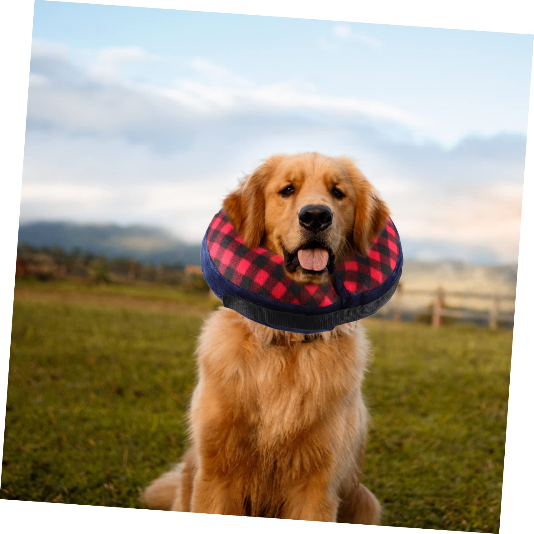 VANZACK 5 Collares Inflables Cómodos Y Agradables para La Piel para Perros Y Gatos.