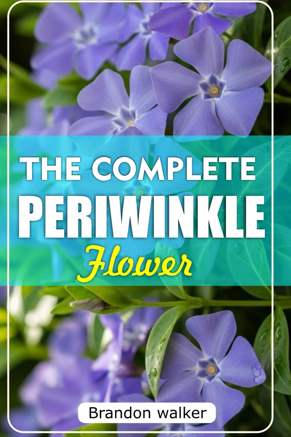THE COMPLETE PERIWINKLE FLOWERS: The Ultimate Beginner's Guide to Growing, Caring For, And Harvesting Stunning Periwinkle at Home and garden