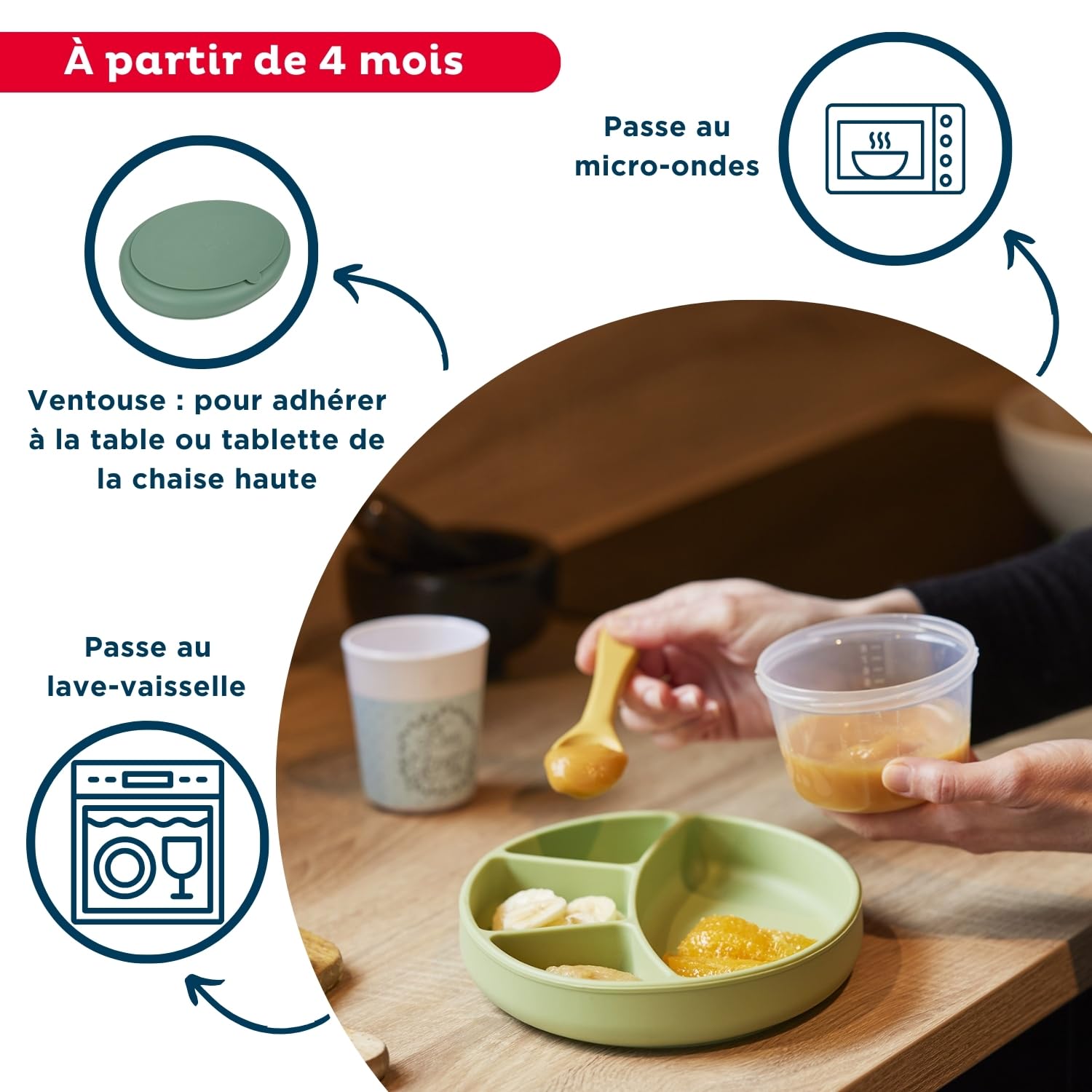 Thermobaby - Piatto in silicone con scomparti - Piatto a ventosa per neonati - Piatto Bebe - Piatto infrangibile per neonati - Antiscivolo - Lavabile in lavastoviglie e forno a microonde - Verde