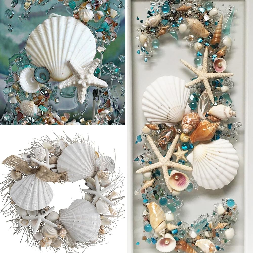 12 białych muszelek, 9-10 cm, duże muszle, muszle, naturalne muszle, do rzemiosła DIY, dekoracja kuchni, dekoracja przekąsek, dekoracja akwarium, na plażę