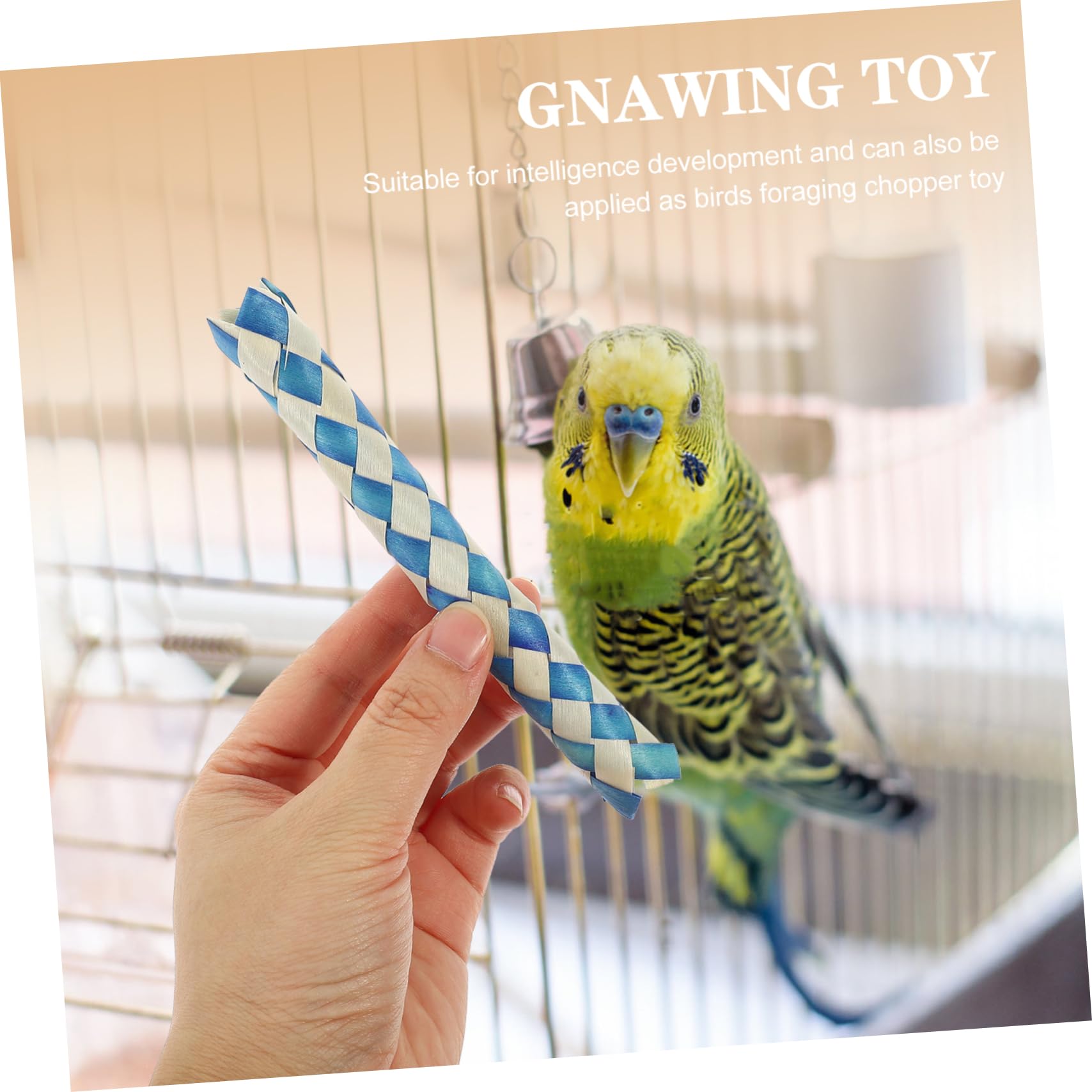 BESPORTBLE Jouets à Mâcher pour Oiseaux Piège à Doigts Lot de Jouets pour Perroquets sans Bavures pour Cage à Oiseaux Fournitures de Fête Danniversaire Couleur Aléatoire