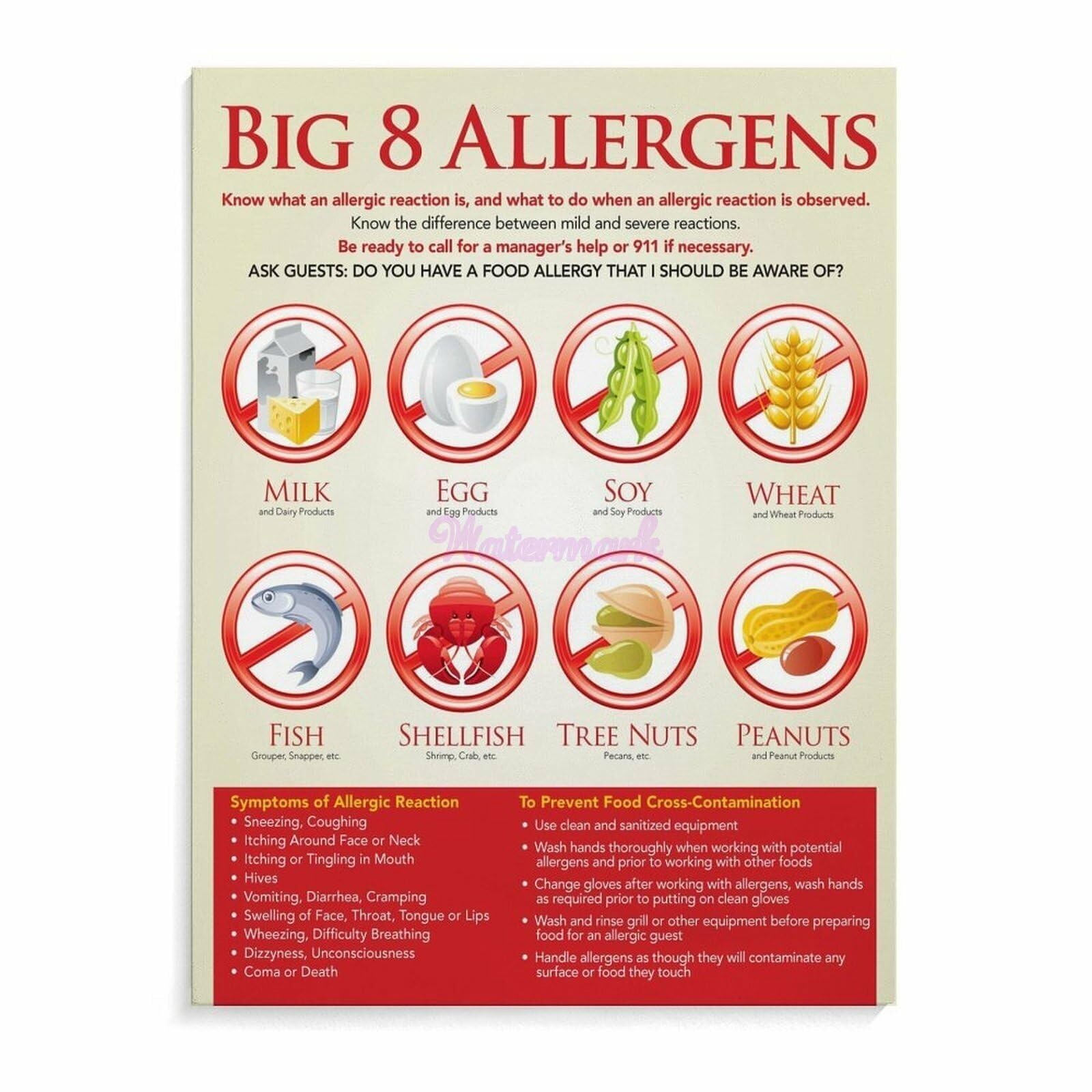 AUOQKQUT Anaphylaxis Information Poster Canvas Wall-Art Severe Allergy Action Chart for Clinic EpiPen Training Decor Framed,08x12inch(20x30cm)