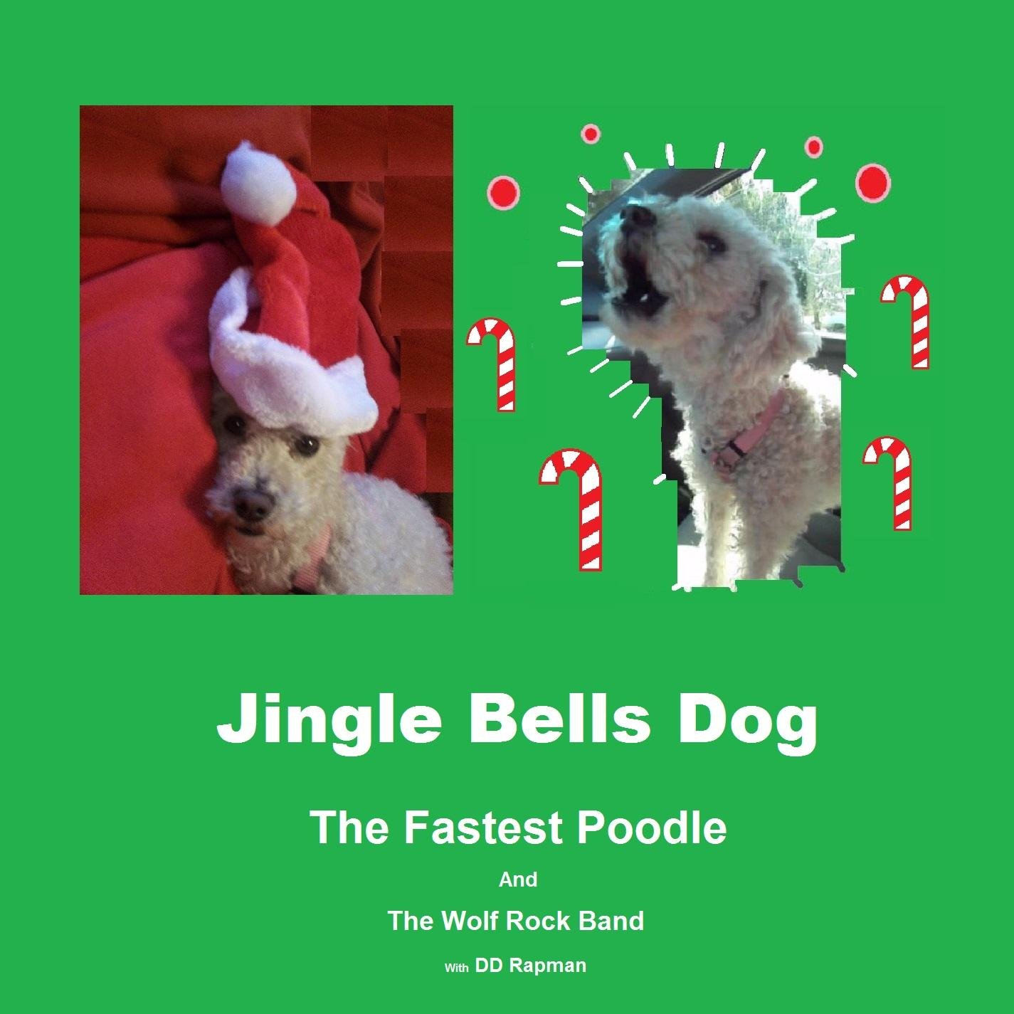 The Fastest Poodle