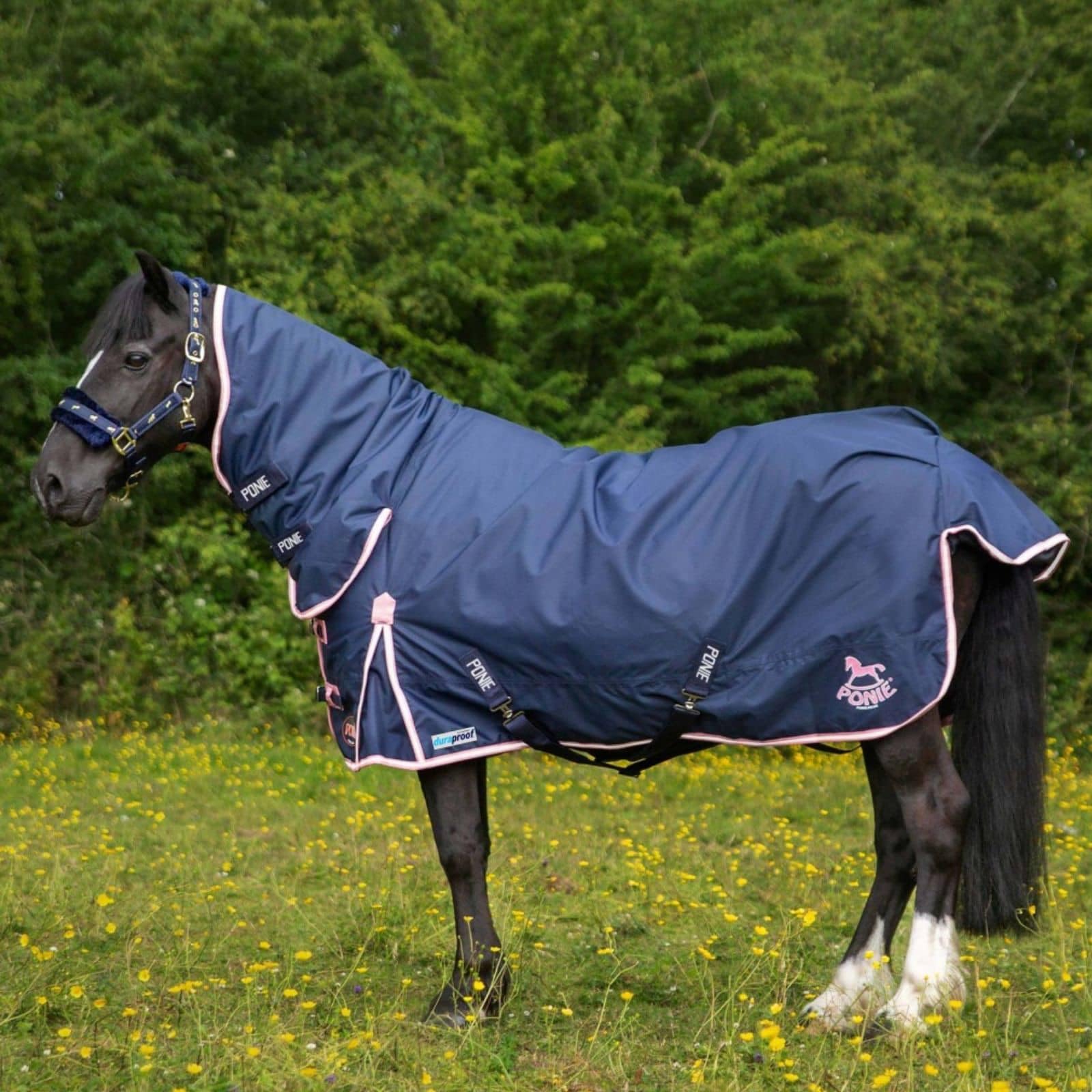 Gallop PONIE Duraproof 50g Turnout Combo, 3ft9