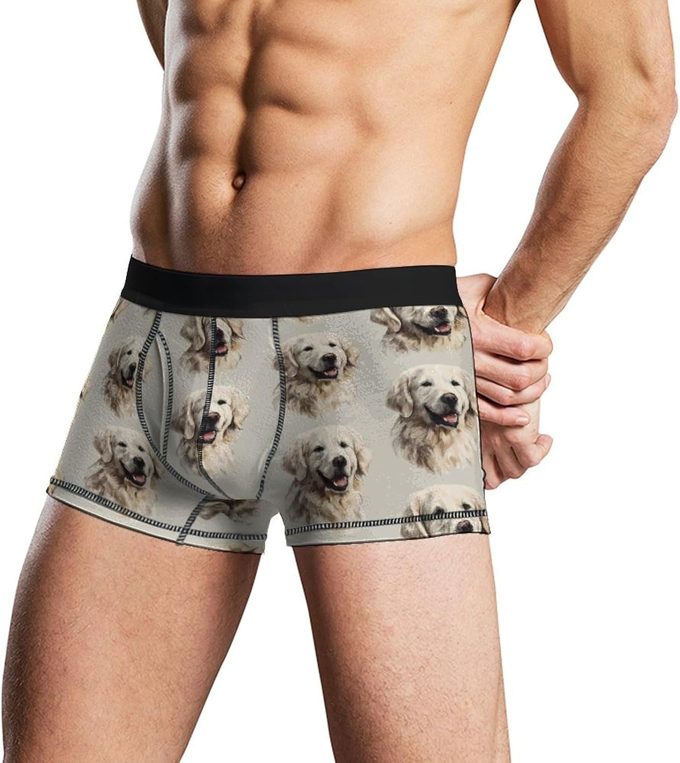 Cute Retriever Dog Novelty Men's Boxer Briefs Soft Breathable Underpants Trunks Stretch Underwear