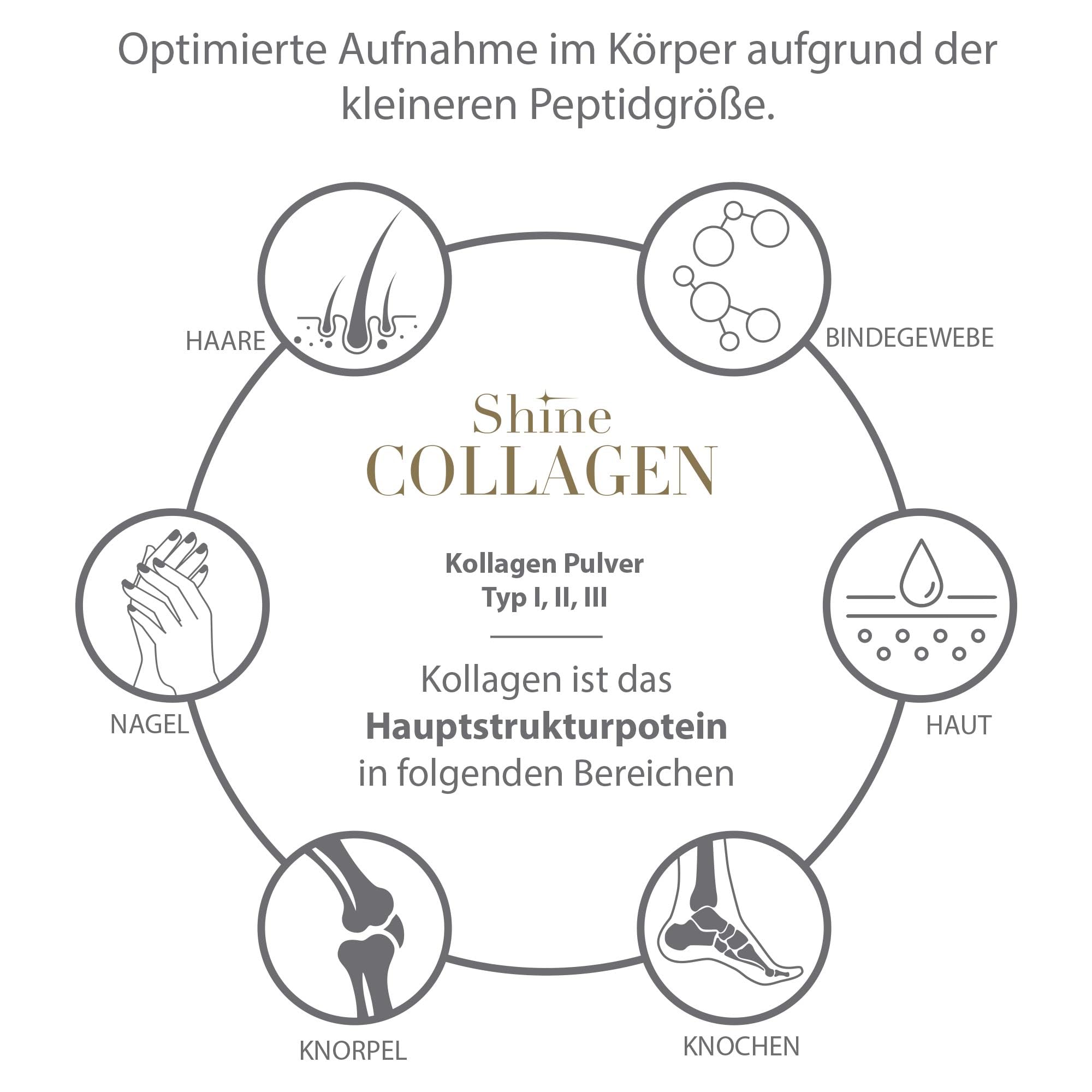 Shine Kollagen Pulver 900g (3x300g) - 100% Collagen Peptide
