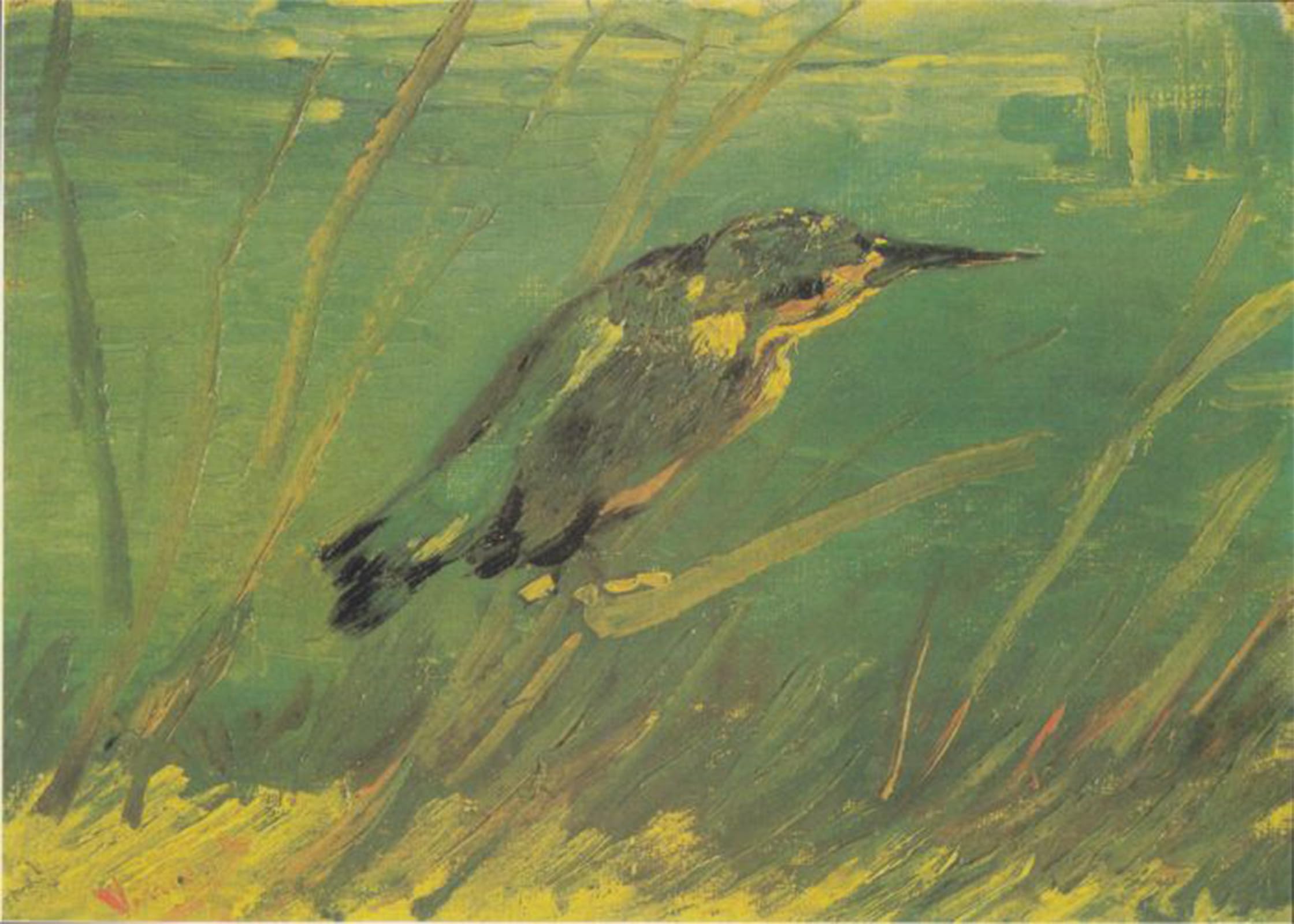 ARTXLXXBN Famous Art Print Poster Vintage Wall Art Eisvogel Canvas Art Poster for Home Decor 60x90cm