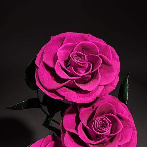 Miniatura 3 de Flores preservadas en cúpula de cristal, rosas reales para siempre, regalos para mujeres, flores para el día de San Valentín para ella, flores de