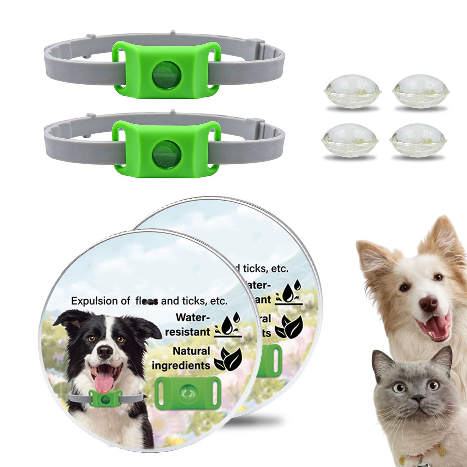 Colliers, médailles et pendentifs réglables pour Chiens, 100% naturels, adaptés à Toutes Les Races de Chiens. Imperméables, Ils résistent à la Pluie, à la Boue, aux rivières et à la baignade