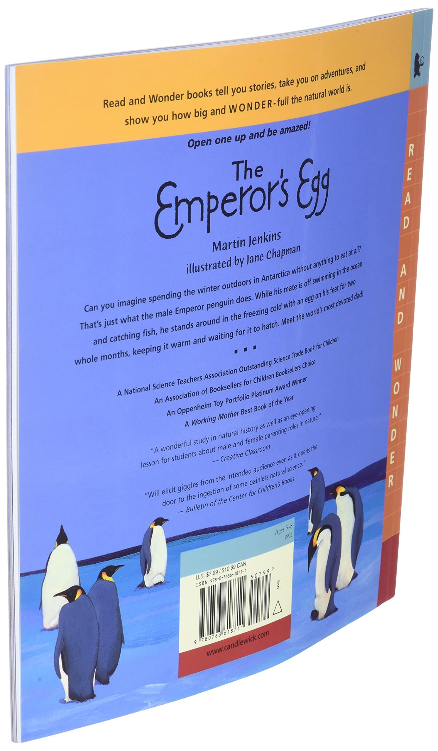 The Emperor's Egg: Read and Wonder - Image 3