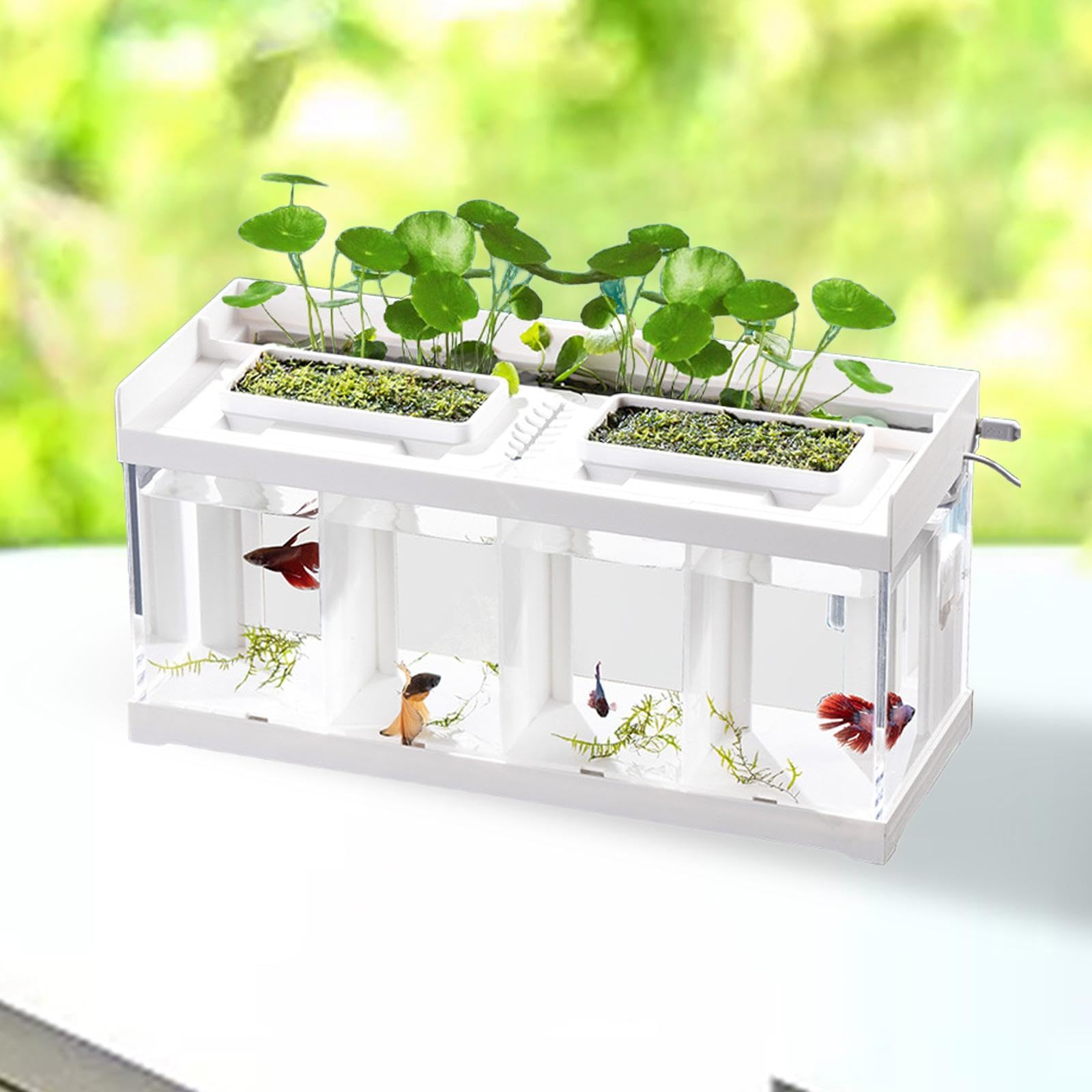 Mini Aquarium mit Integriertem Lichtstreifen Desktop Aquarium Fischzucht Box Aus Stabilem Klarer Fischbehälter mit Dekoration für Betta Fis, 4 Gitter