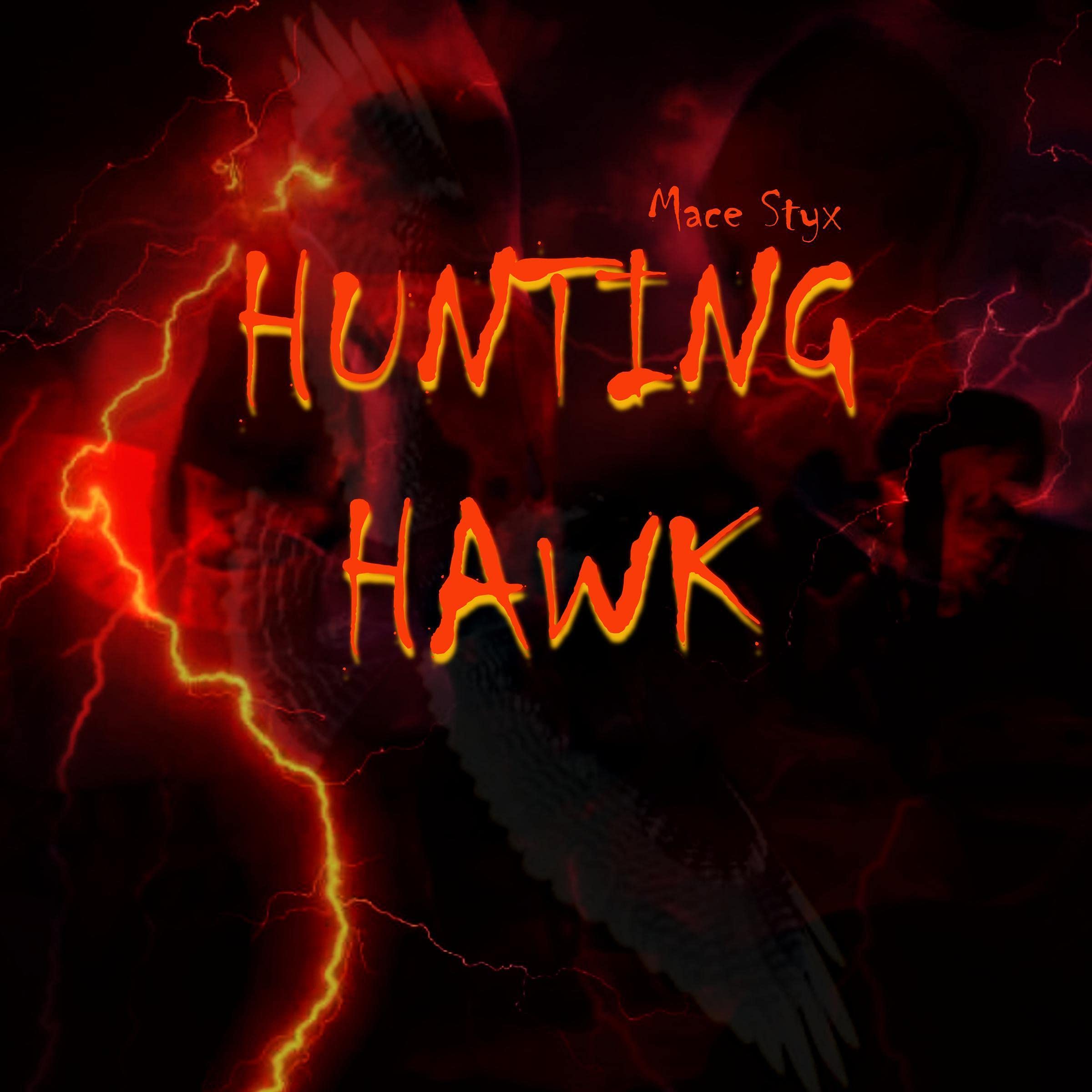 Hunting Hawk