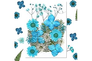 Dry Pressed Flowers for Resin Crafts: Embellish Your Creations with Nature's Beauty