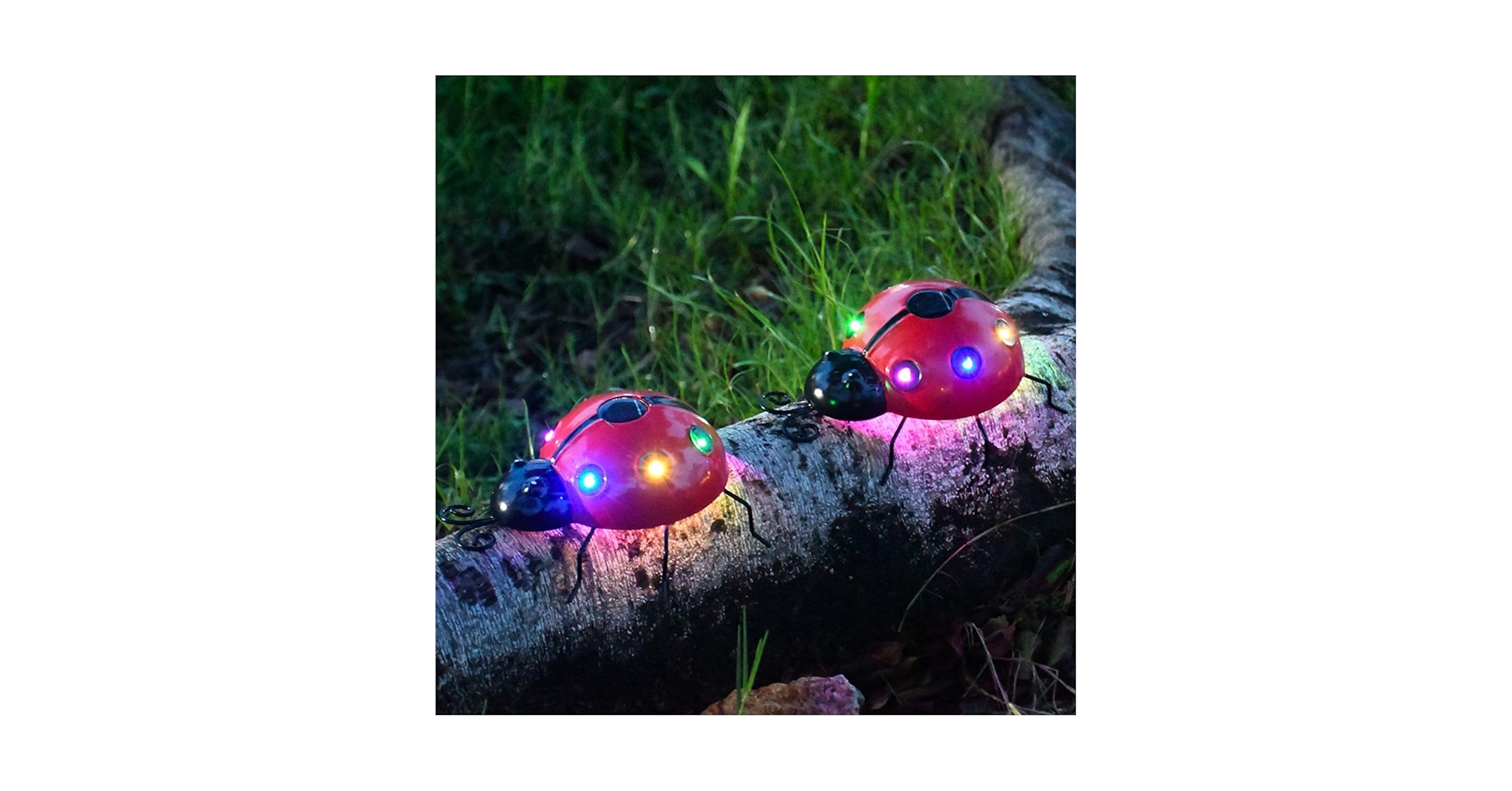 Amazon.co.jp: Lanito ガーデンライト ソーラーライト てんとう虫