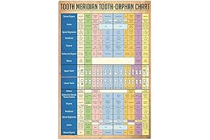 JIUFOTK Premium Meridian Chart Poster: A Comprehensive Guide to Acupuncture and Massage