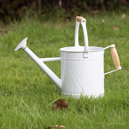 1 Gallon Watering Can with Wooden Handles