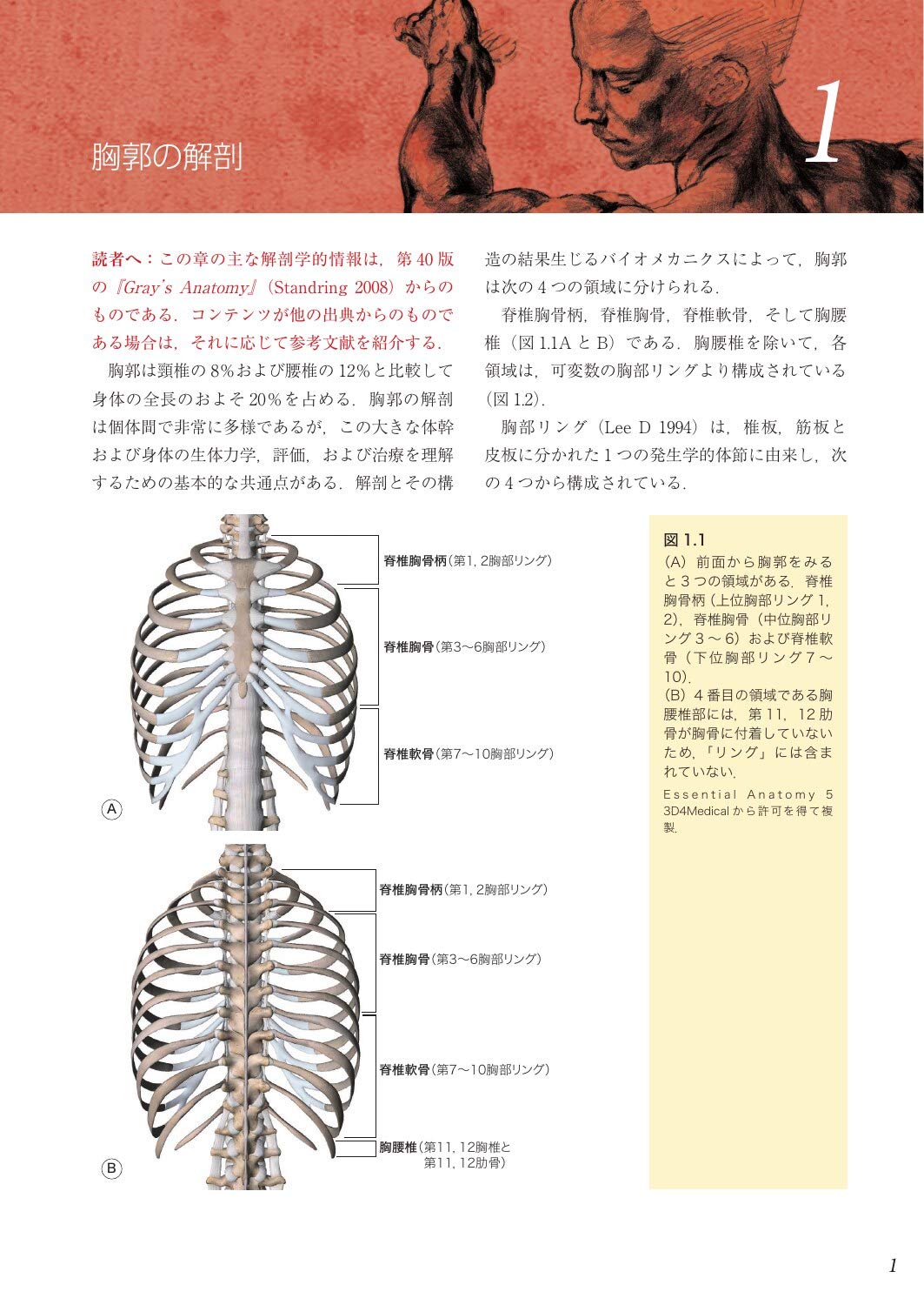 61%以上節約 胸郭統合アプローチ ecousarecycling.com