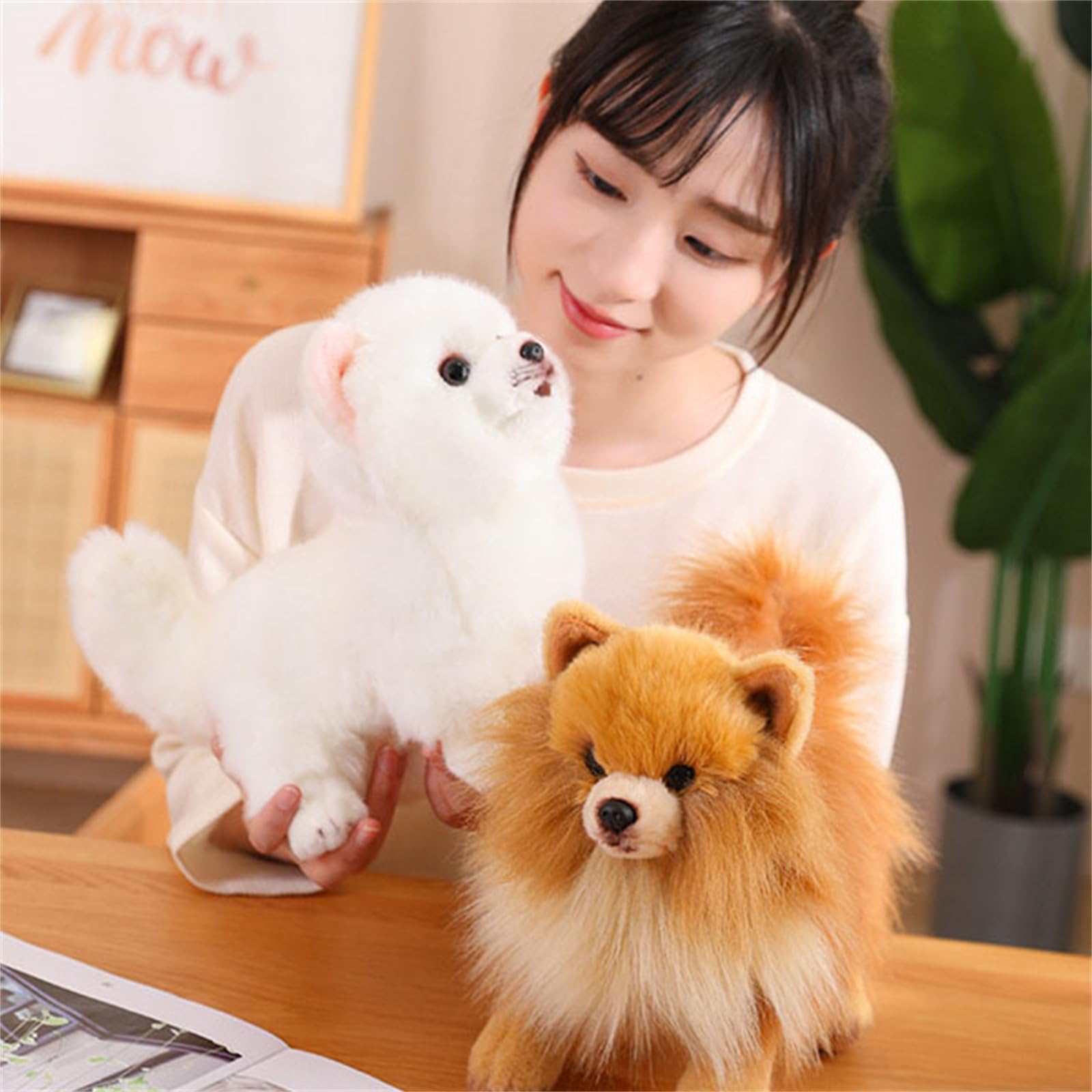 Plüschtier, Weiches Pomeranian-Hunde-Plüschtier, tierisches lebensechtes Hundeplüschtier, 26 cm(Brown Pomeranian)