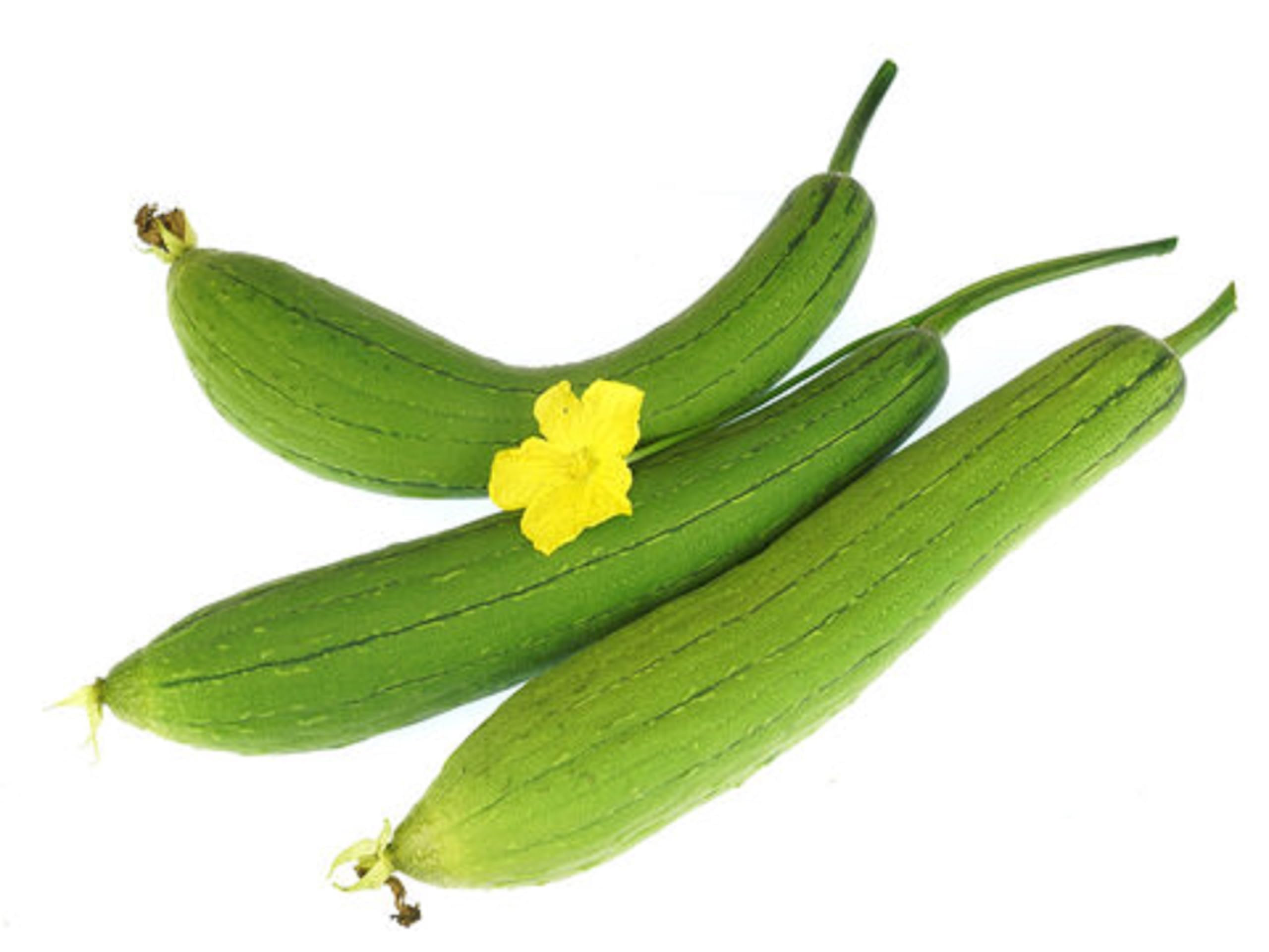 NooElec Seeds India 20+ Seeds- Sponge Gourd Tauri Organic Seeds for Kitchen Garden. (B01DA2AVTO) Amazon Price History, Amazon Price Tracker