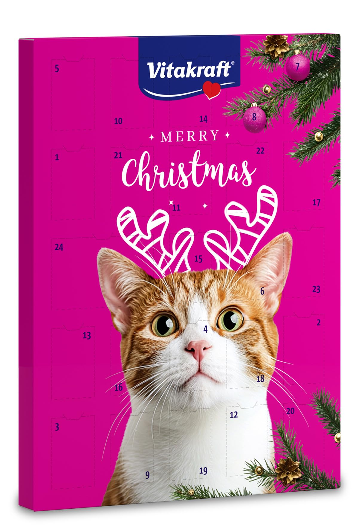 Cat Advent Calendar