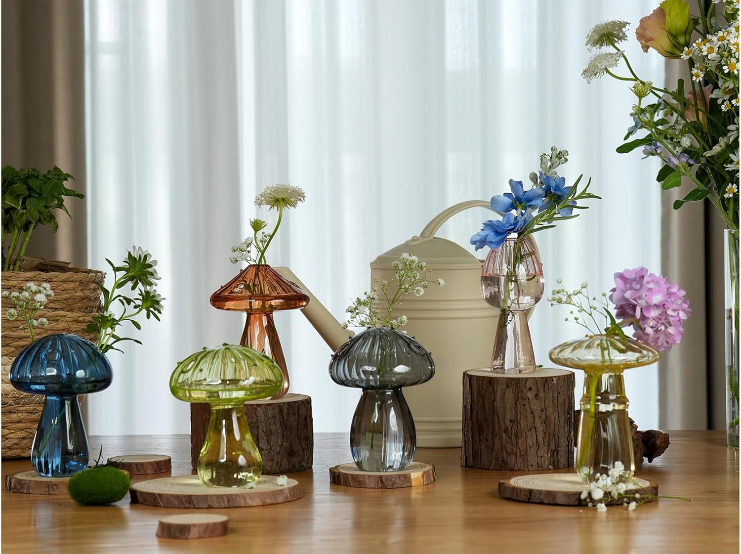 Set of 6 Colored Plant Propagation Stations, Mini Terrarium for Plants,