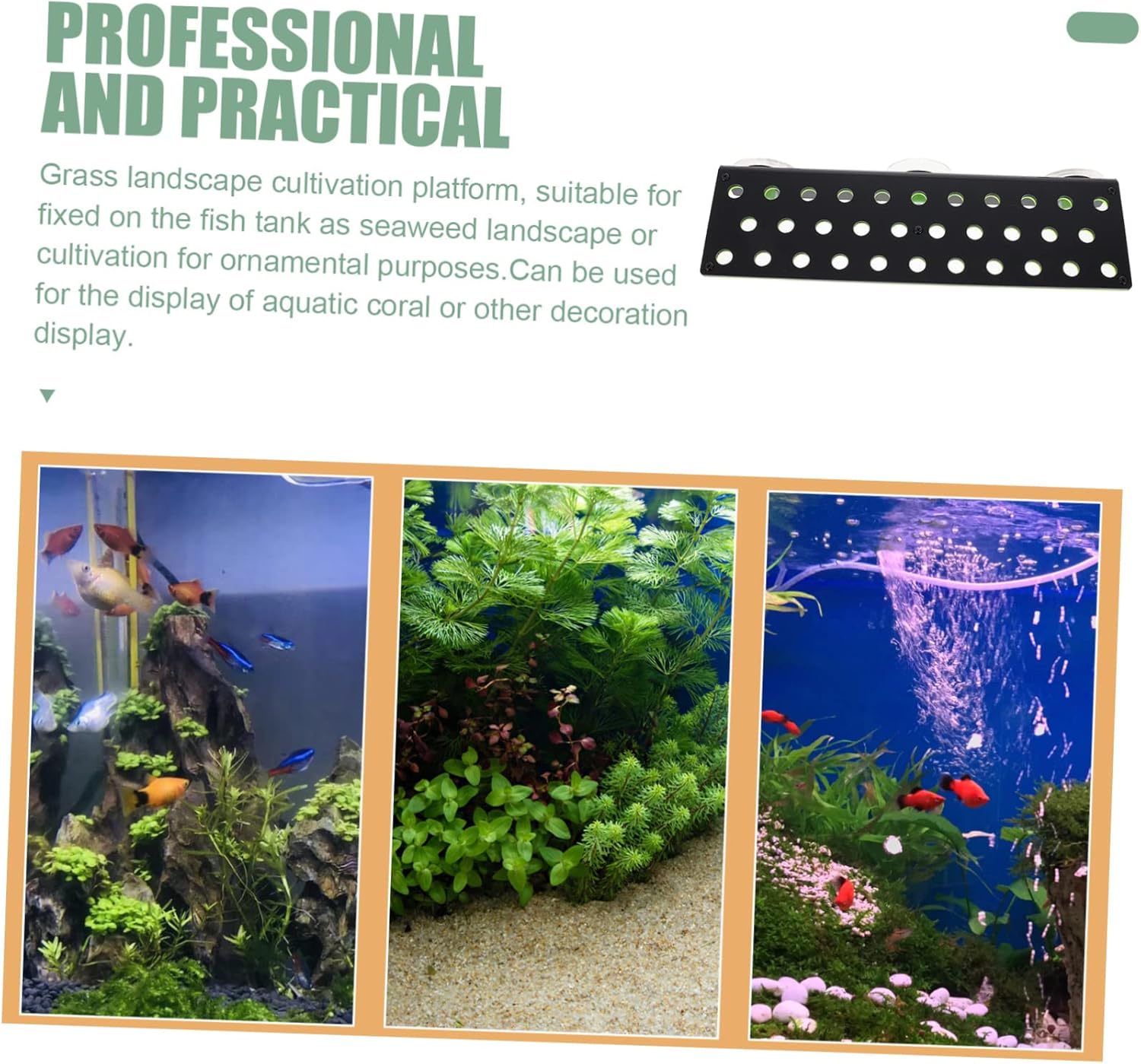 Fluorescent Coral Rack Dual-Layer Aquarium Holder with Suction Cup Design Durable Material for Fish Tank Coral Accessories and Easy Installation