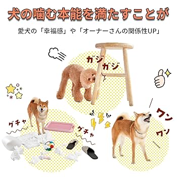 専用　DINGO ドッグ　3フレーバー セット Amazon.co.jp: ディンゴ (Dingo) トリプルフレーバーロール 3本