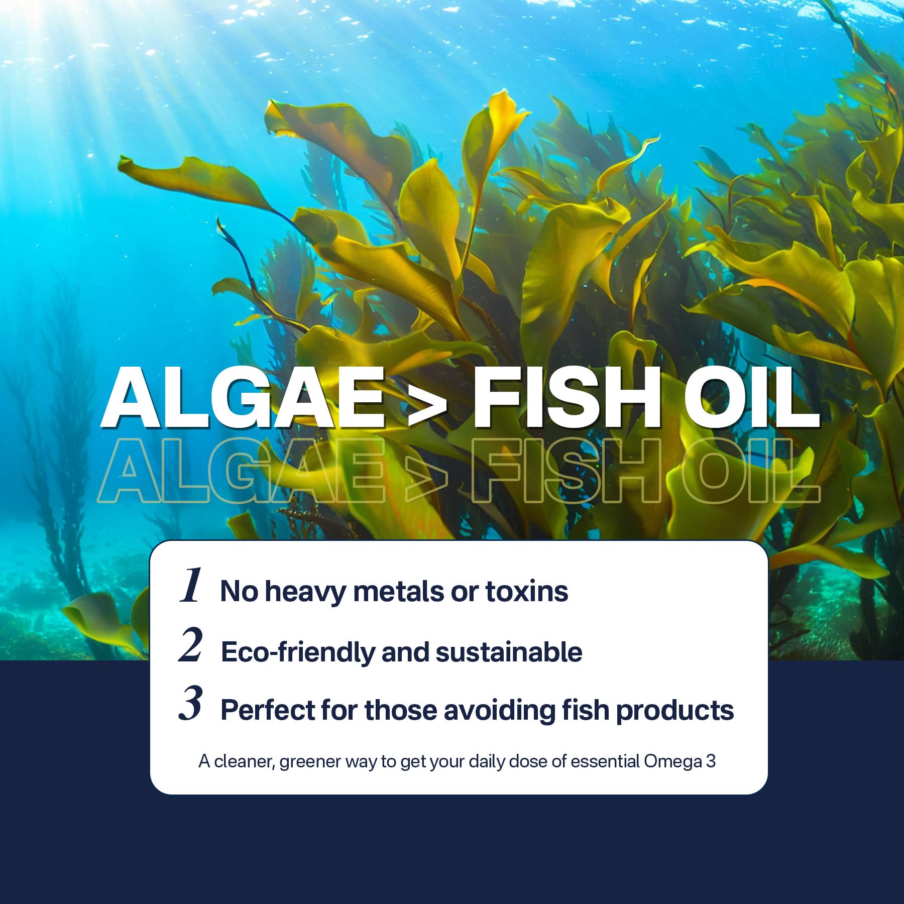 Vegan Omega 3 Algae Oil Supplement, Plant-Based EPA & DHA Fish Oil Alternative with Methylated B12, B6, B9, Vitamin E - Vegan Softgels for Brain, Energy, Immune Support for Women & Men,120 Count — Amazon image 9