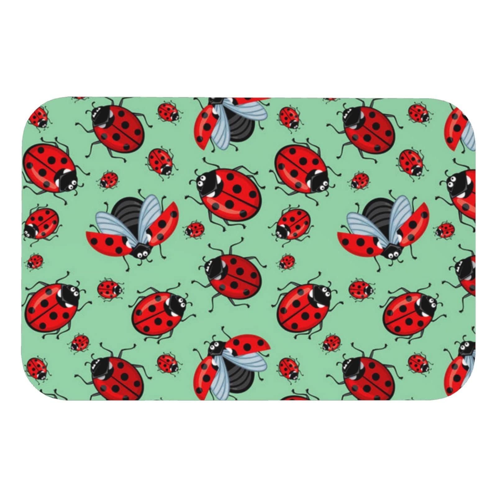 Tapis de bain diatomée 40x60 absorbant et tapis de douche pour cuisine