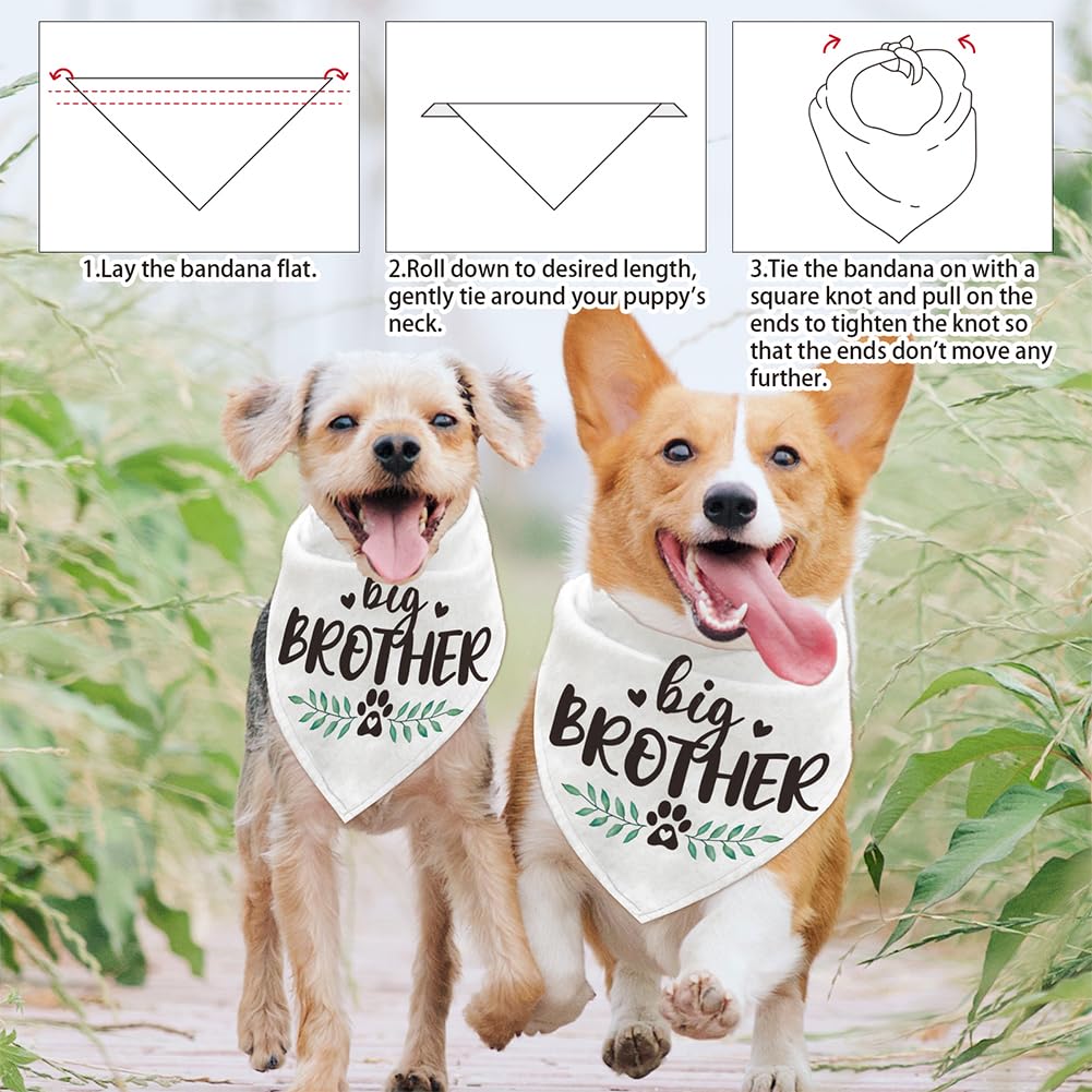 arricraft 1 bandana triangolare per animali domestici, in cotone, con scritta "Big Brother", lavabile, per cuccioli e gatti, bavaglini, accessori
