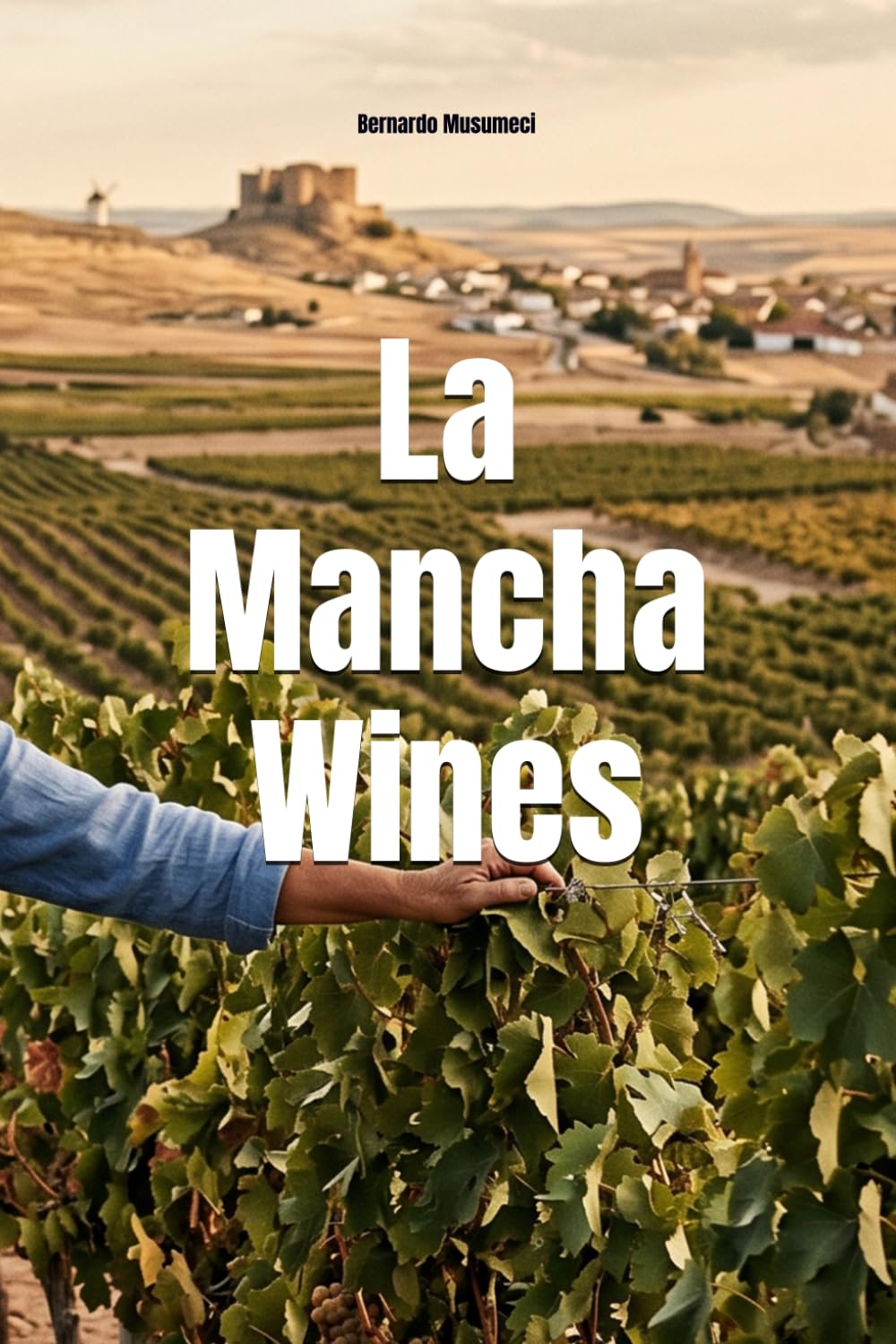 La Mancha Wines (Wines of the World: Spain)