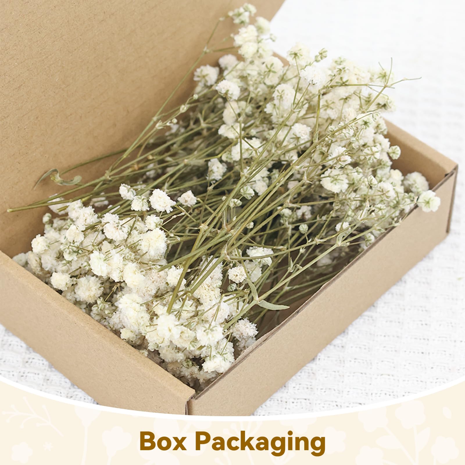 ForestM 100PCS Dried Pressed Flowers, Natural Baby Breath Dried, Gypsophila Mini Breath Flowers - Image 4