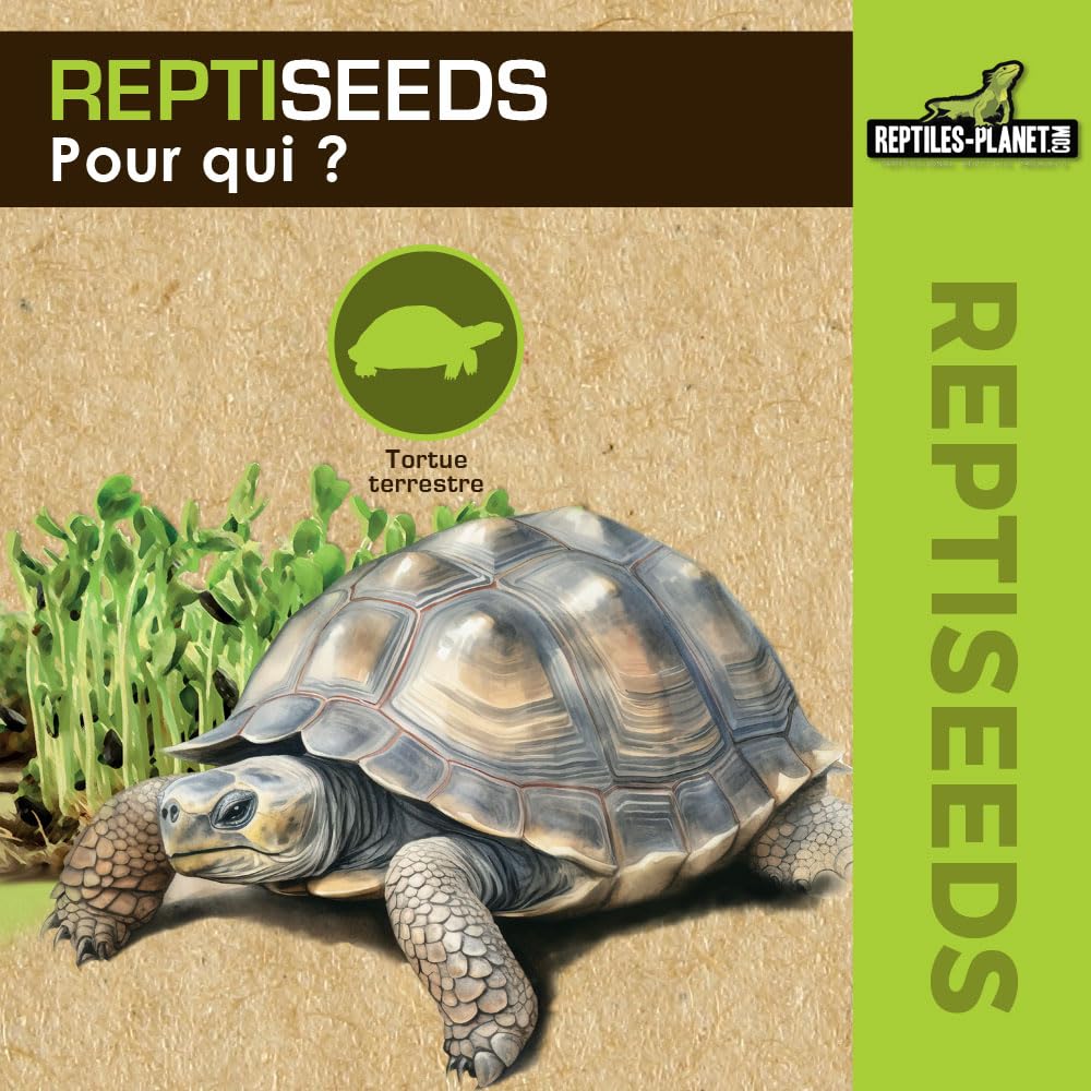 Reptiles Planet - Reptiseeds - Mieszanka nasion kiełkujących żółwia ziemnego - 40 g