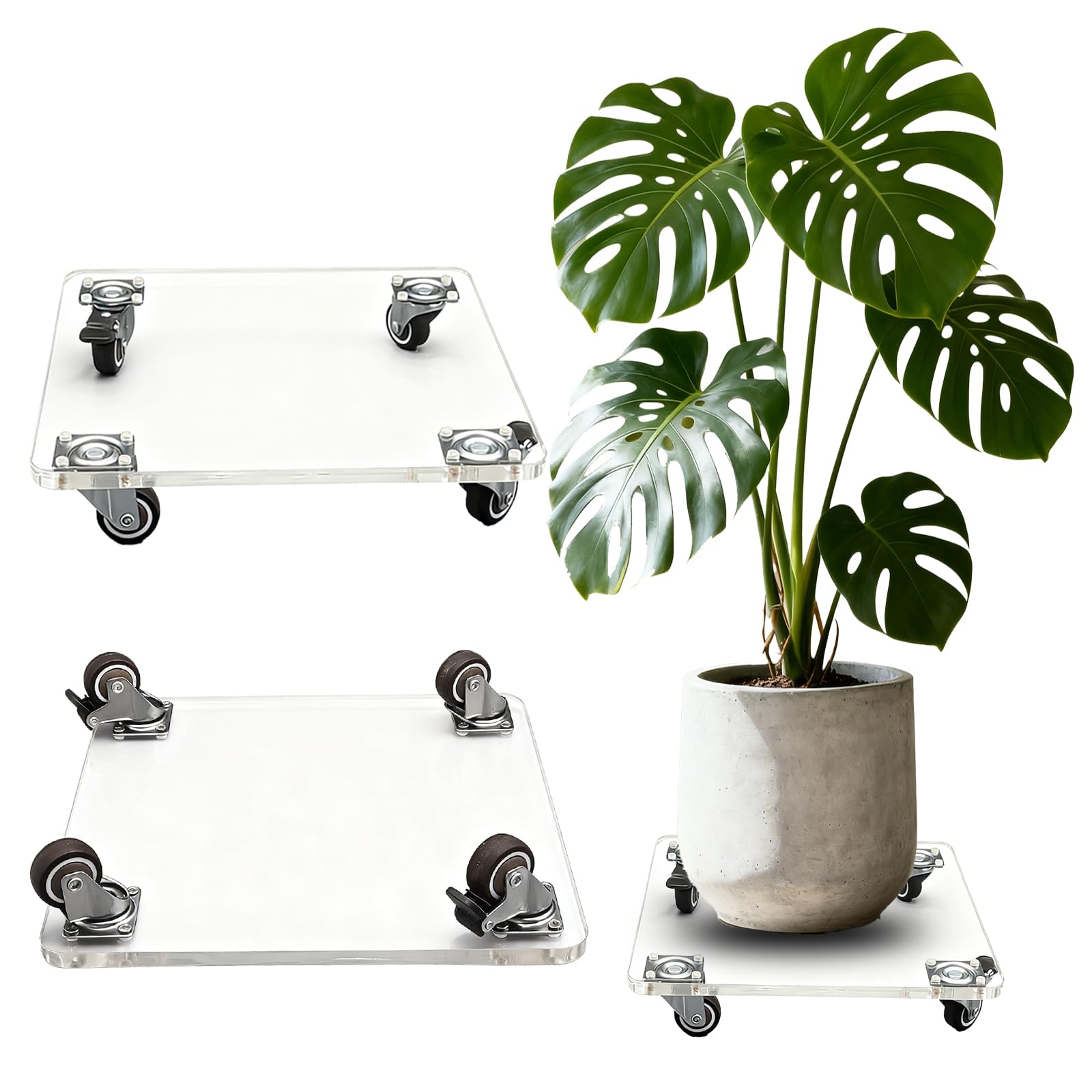 Support pour plantes en acrylique 25x25cm pour déplacer les pots lourds