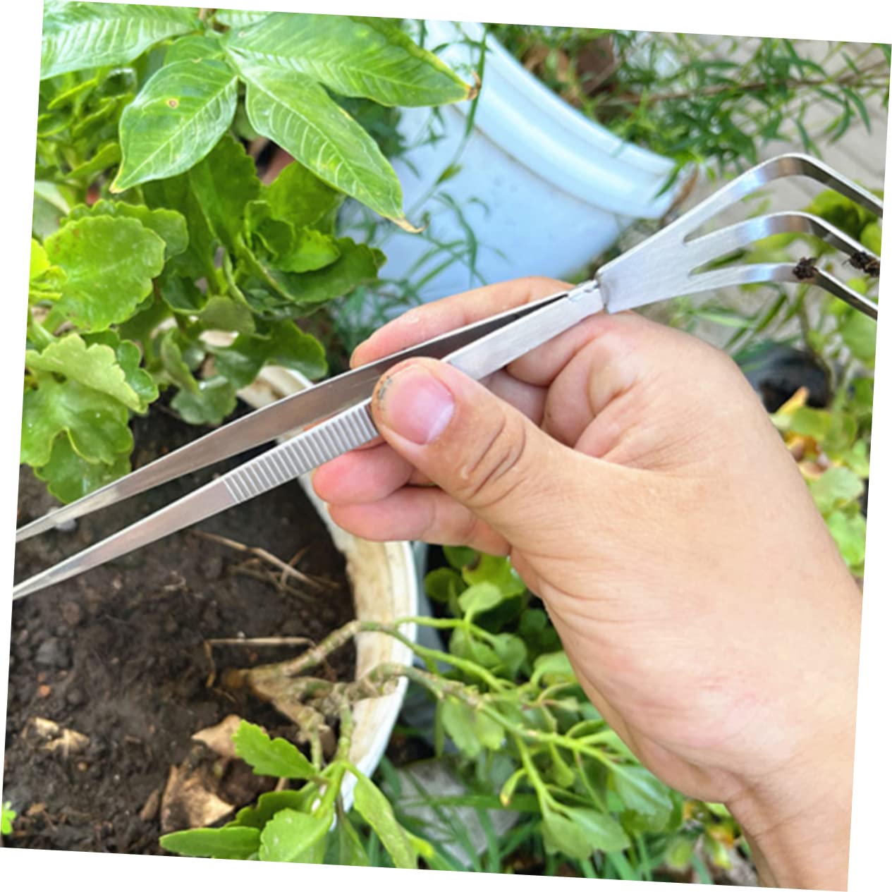 Amazon | NUSITOU 2個 本 植物 ピンセット ステンレス ヘラ