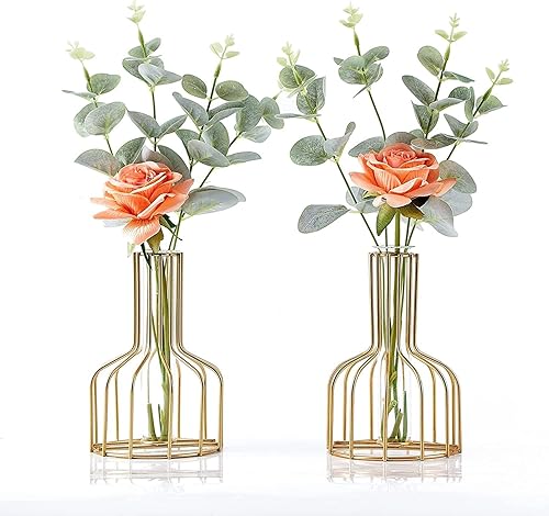 Ivymei Paquete de 2 jarrones de mesa, marco de metal geométrico dorado, jarrón de tubo de vidrio transparente, plantas hidropónicas, jarrón dorado