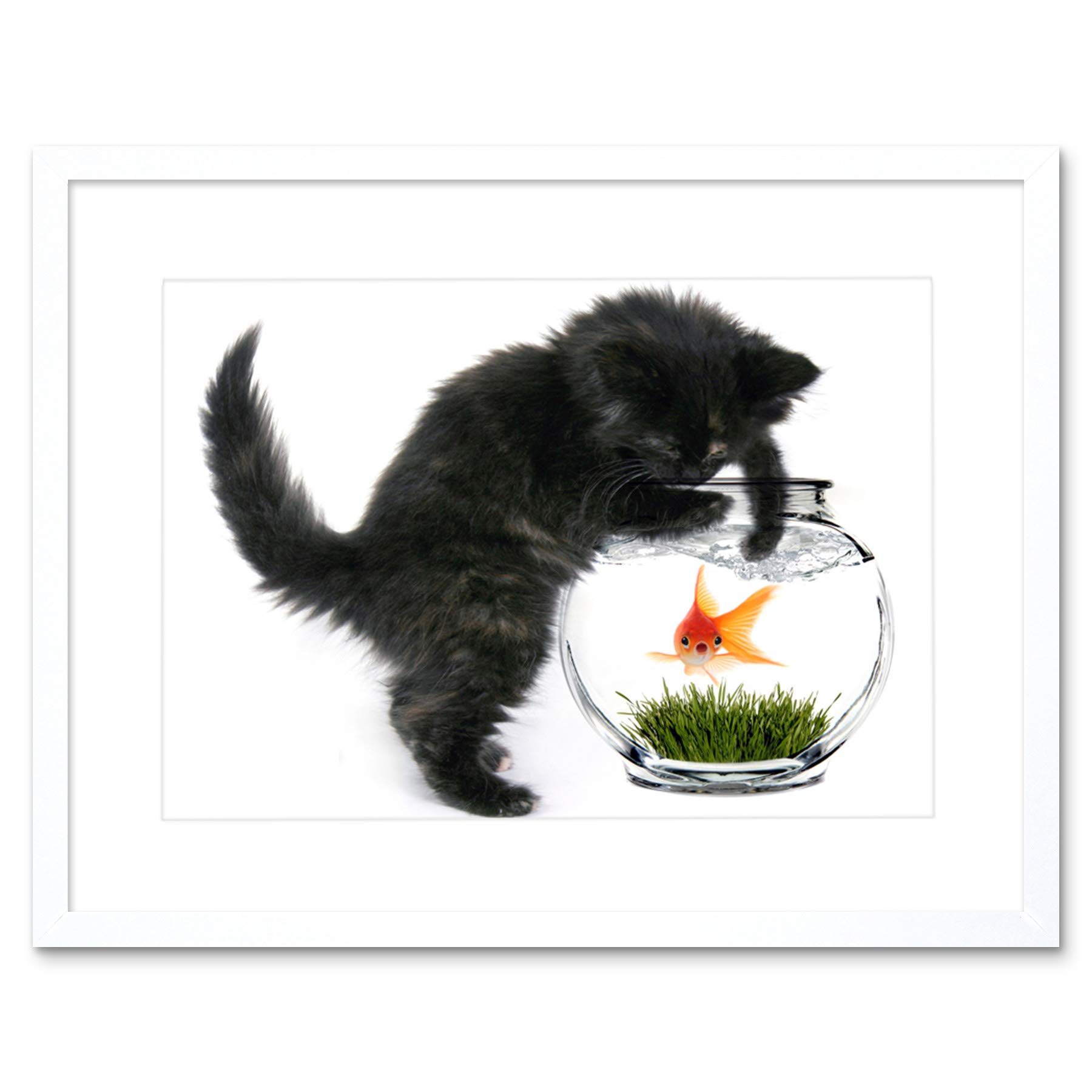 Wee Blue Coo Black Kitten Cat Playing Goldfish Bowl Home Framed Wall Art Print