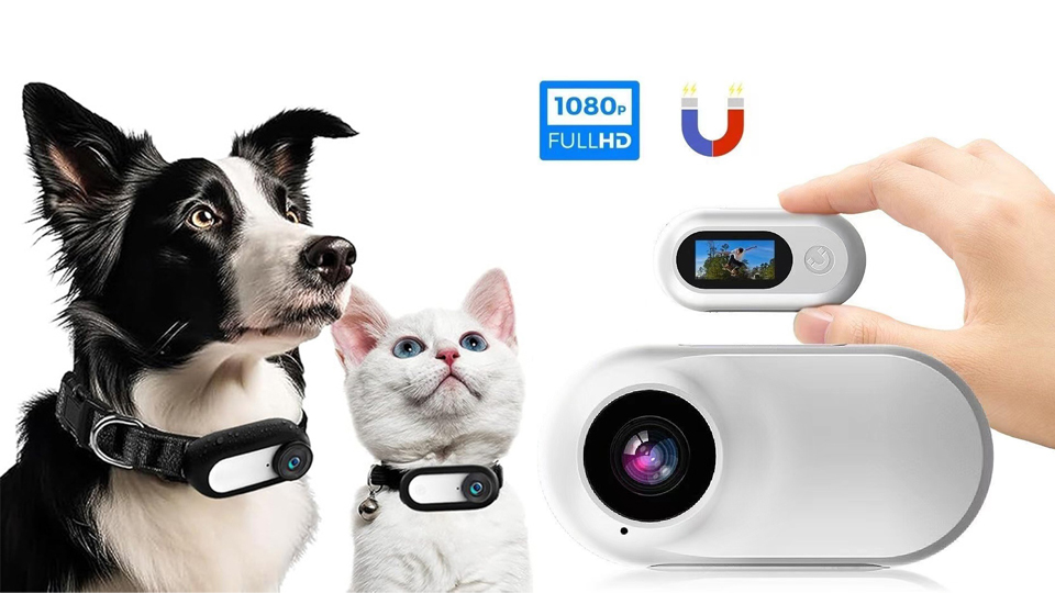 Haustierhalsband-Kamera,HD 1080P Katzen Kamera Halsband,170 Weitwinkel  0,96 Zoll LCD-Display,Multifunktionaler Bewegungskamera fr Hunde und  Katzen,fr Mountainbiken Reisen Videoaufzeichnungen : Amazon.de: Haustier