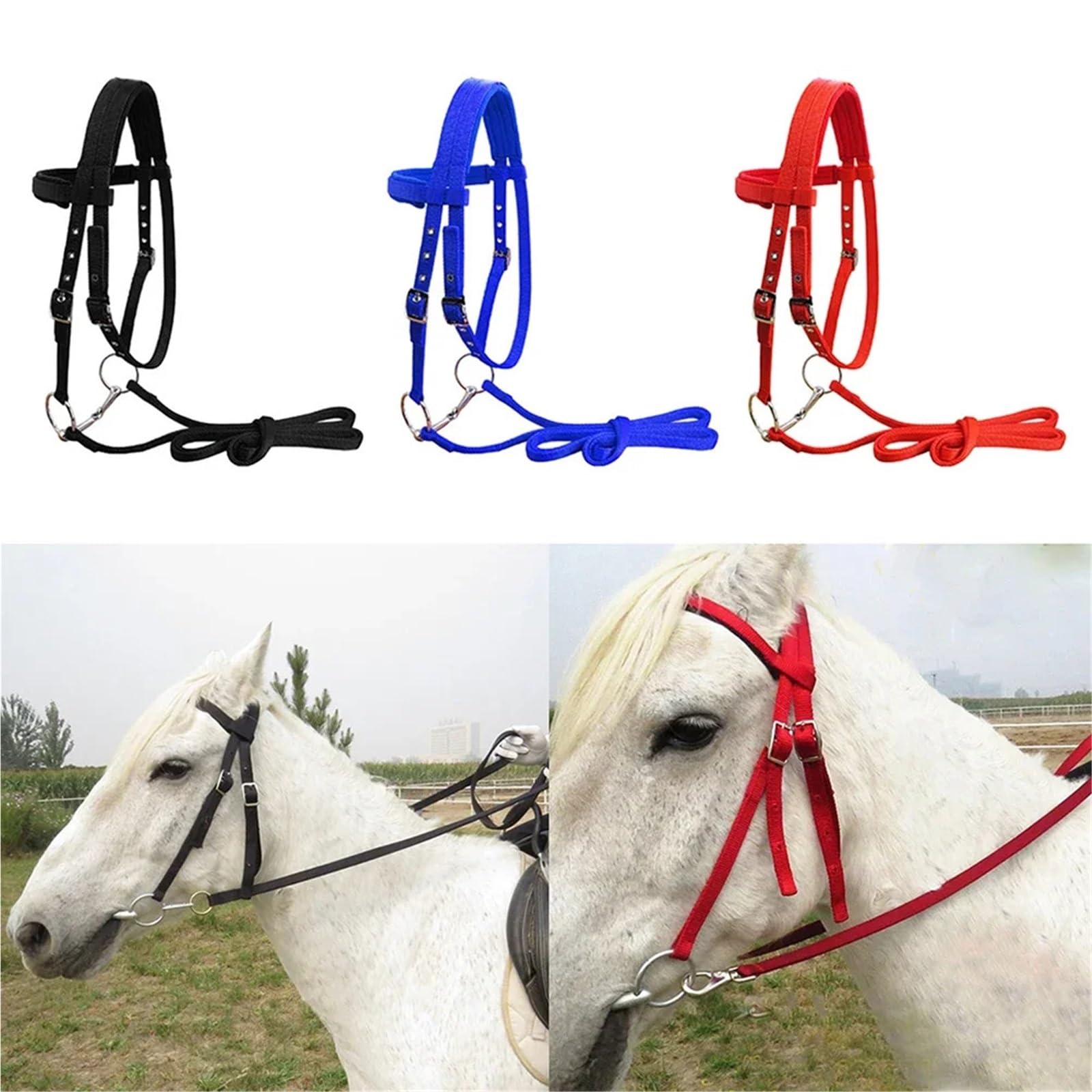Durevole Briglia for Cavallo Rein Testata for Cavallo 20 mm Fettuccia in PP Cavezza Ispessita Attrezzatura equestre for Allenamento di Equitazione all'aperto per Cavalli(Red M)