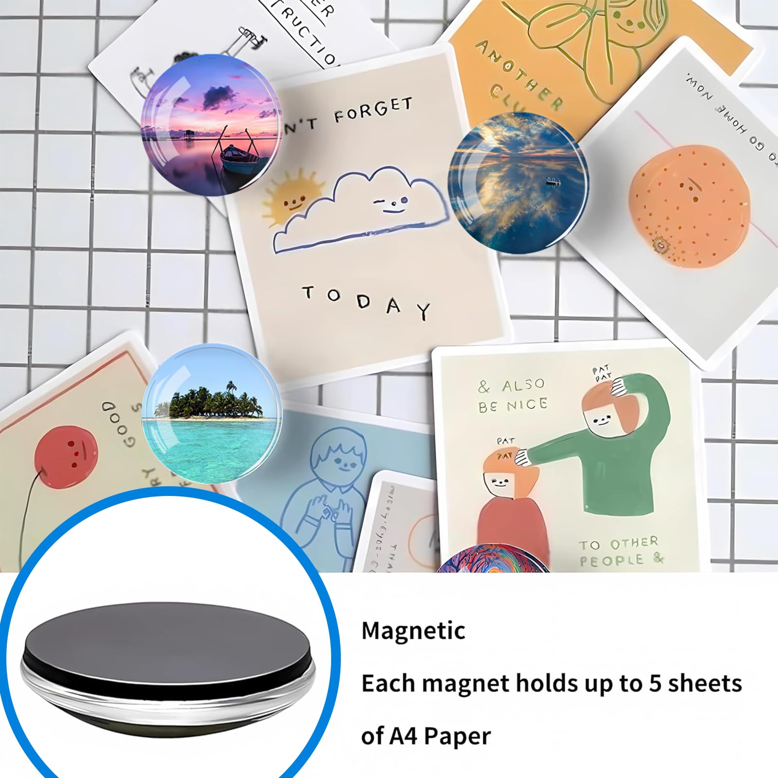 Calamite Frigorifero Animali - 12 Pezzi, 30mm - Design Colorato, Forti E Decorativi - Foto 5