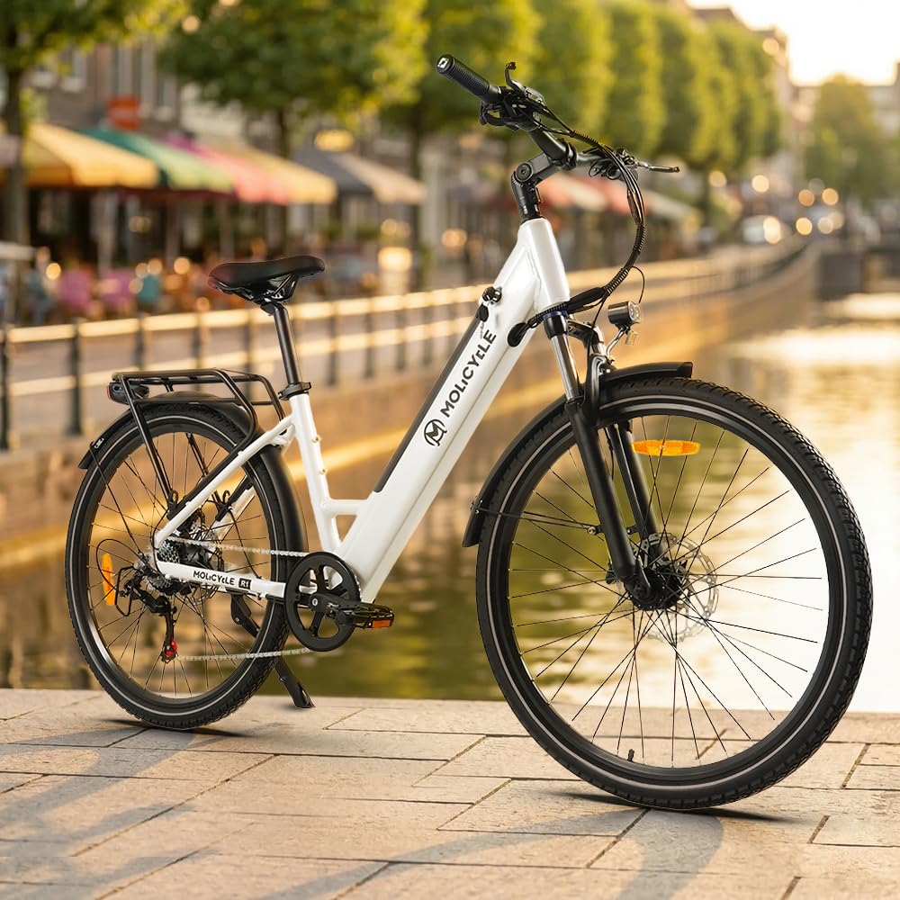 R1 E-Bike Damen 27.5 Zoll Tiefeinsteiger Trekkingrad E-Cityrad | 36V 14.5Ah Wechselakku, Bis zu 110km, 7 Gang Schaltwerk, 250W Heckmotor, Hydraulische Scheibenbremsen, EU-konform